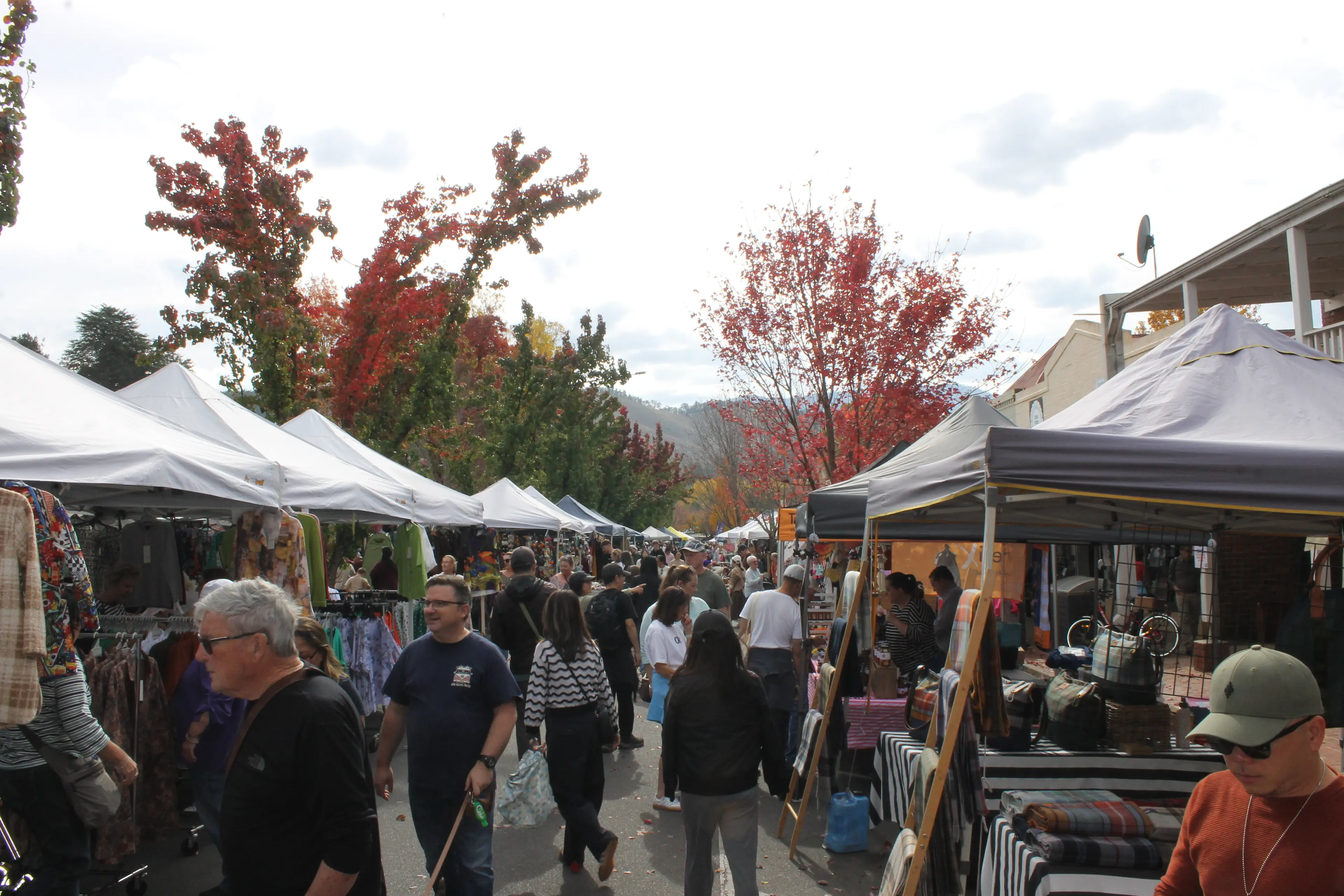 <p>PATHWAYS PACKED: The Bright Autumn Festival brought visitors and locals from far and wide to enjoy the jewel of its golden crown: Saturday\\'s Al Findlay Gala Day. PHOTOS: Phoebe Morgan.</p>\\n