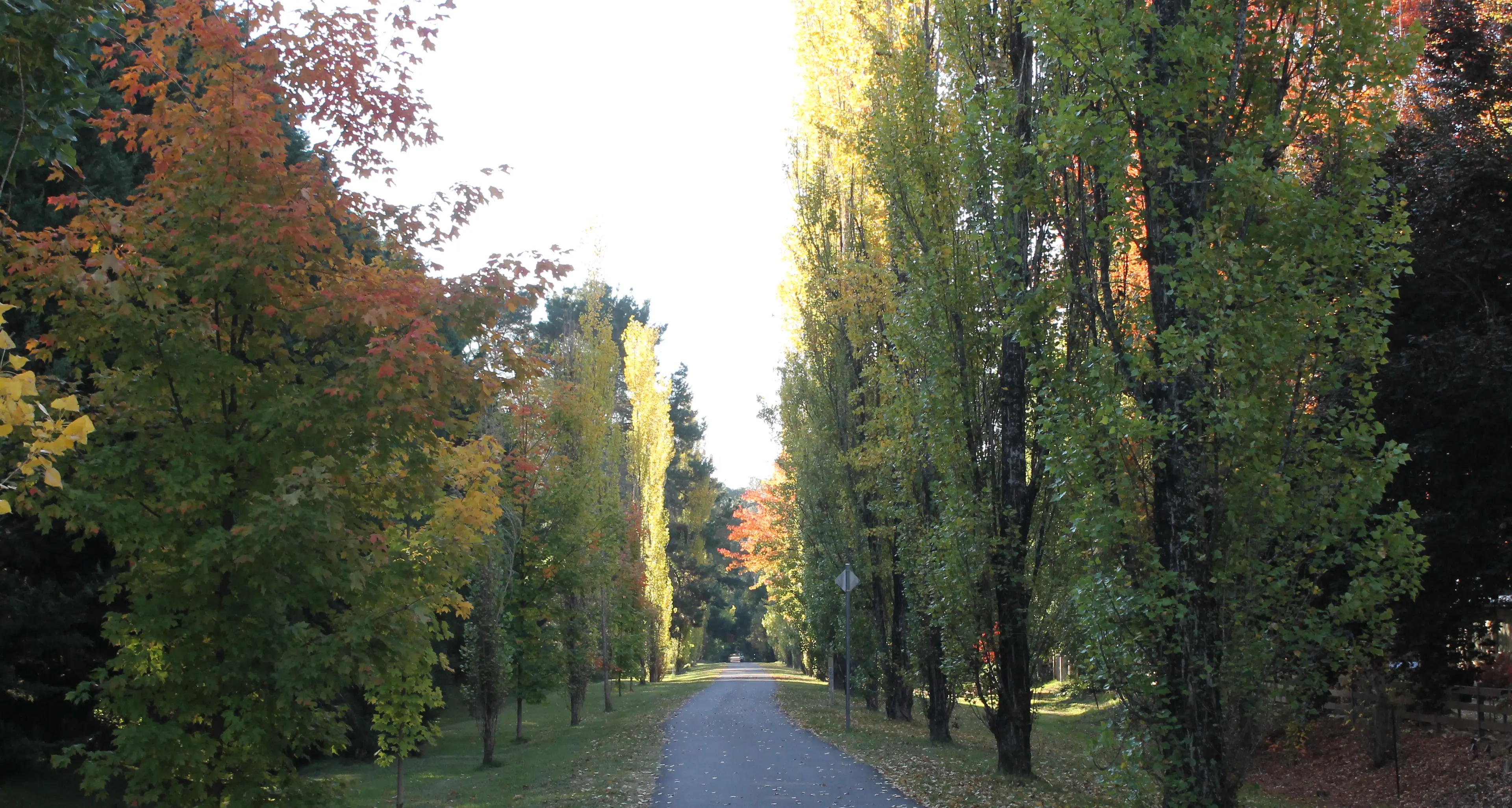 Council adopts Tracks and Trails Master Plan 2025-2034