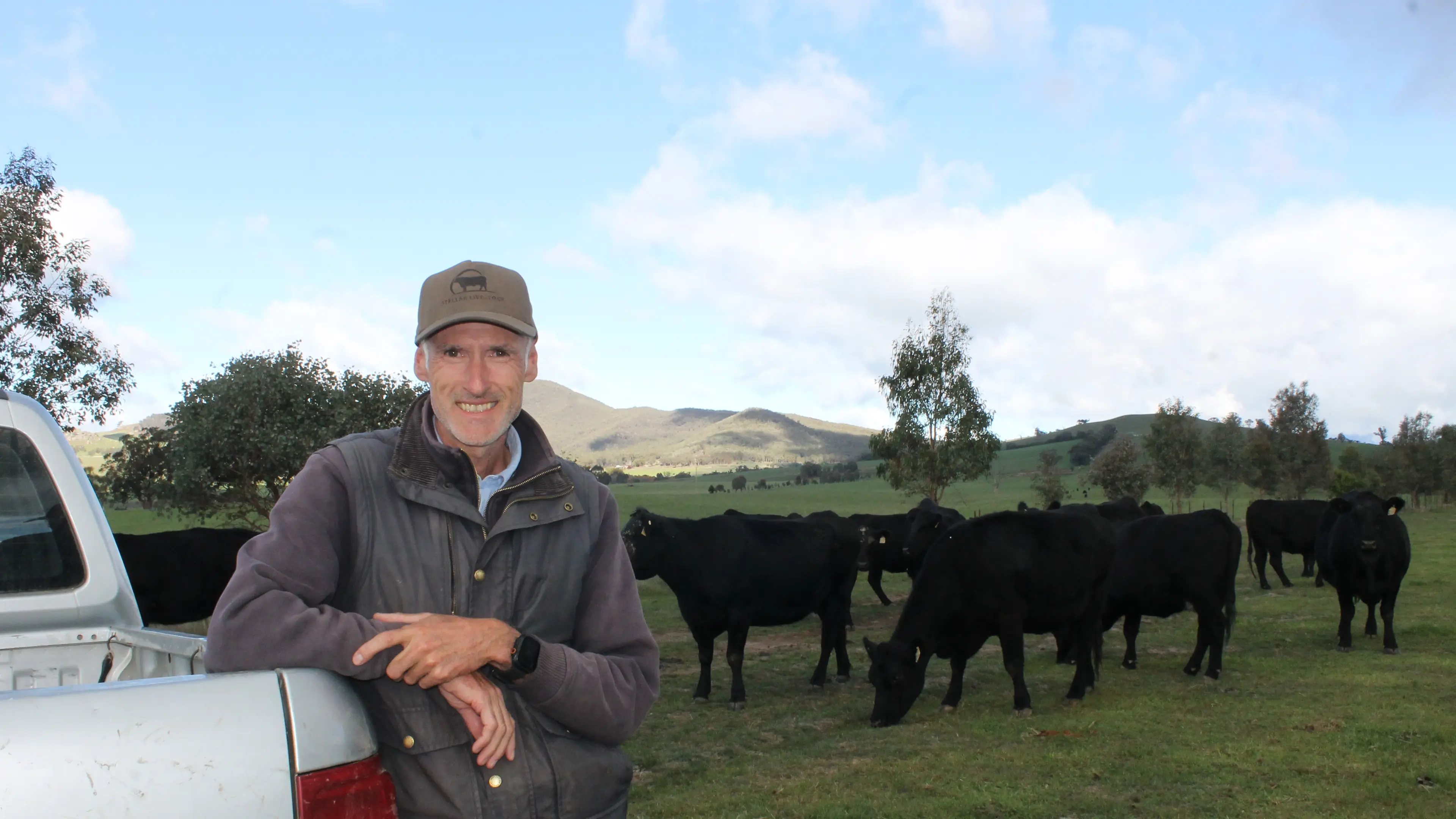 Annual autumn cattle sale drives donations for Do It For Dolly Day