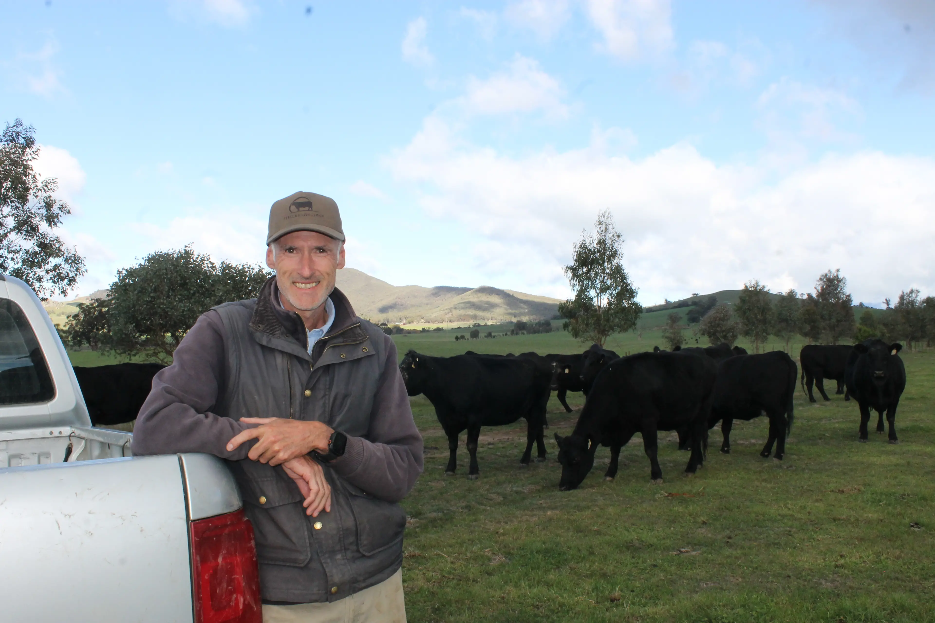 Annual autumn cattle sale drives donations for Do It For Dolly Day