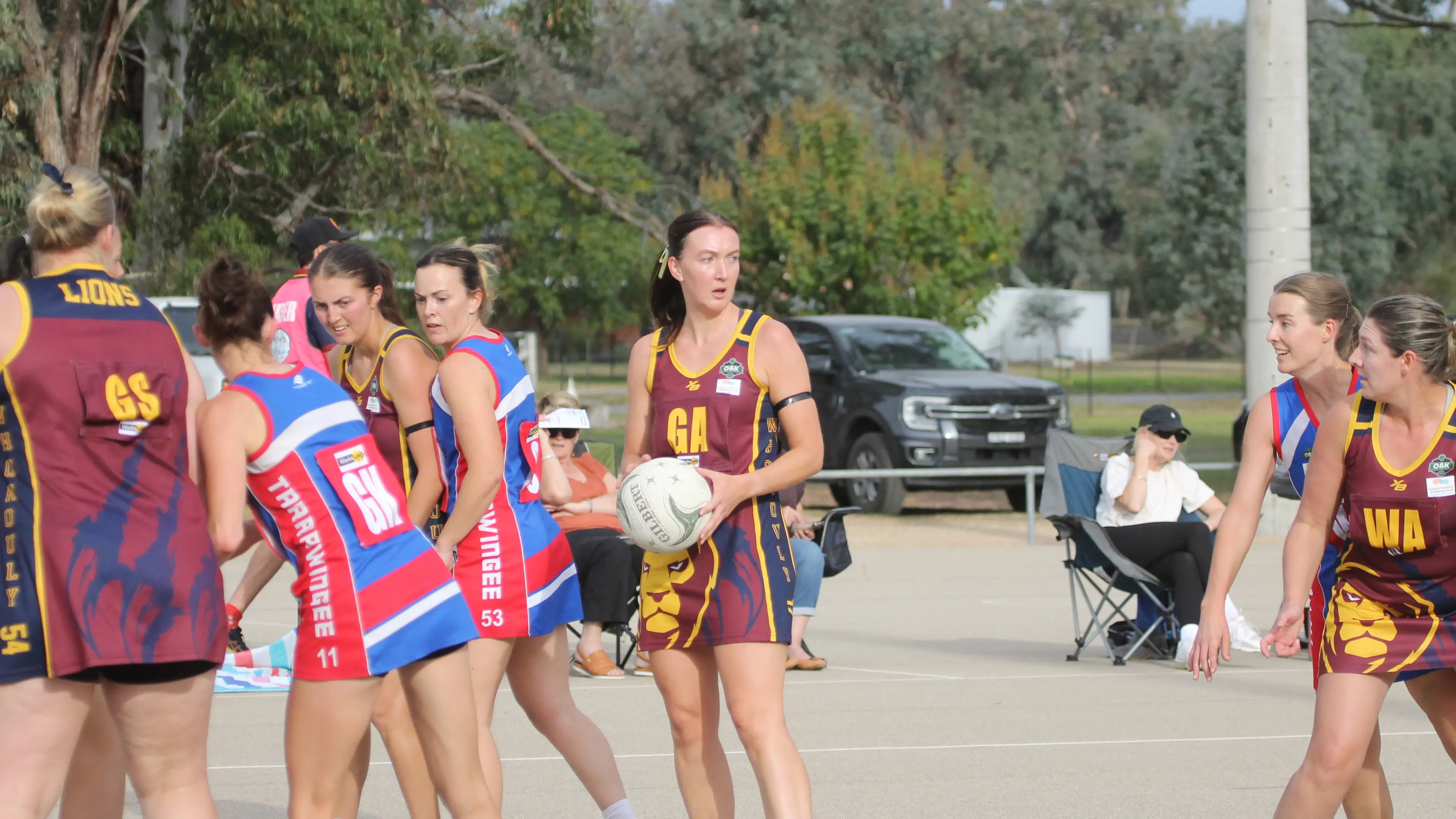 Lions return to the fray
