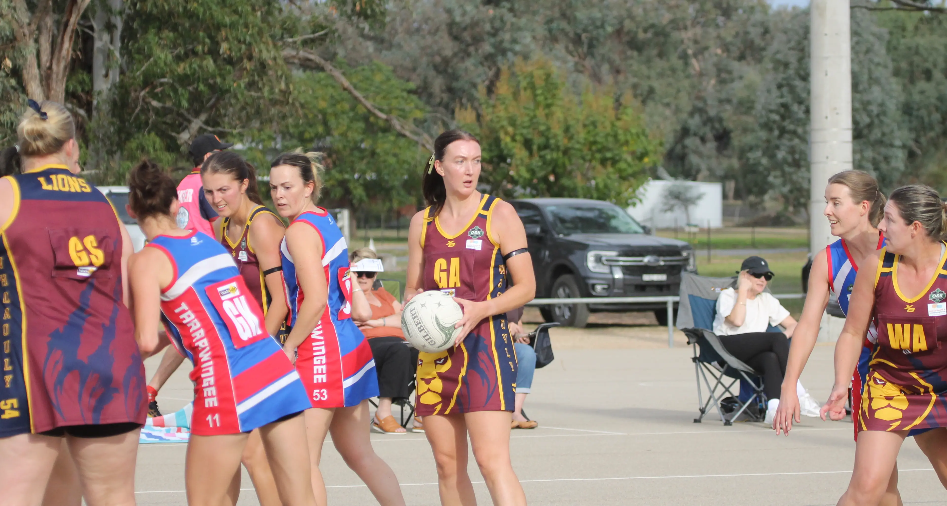 Lions return to the fray