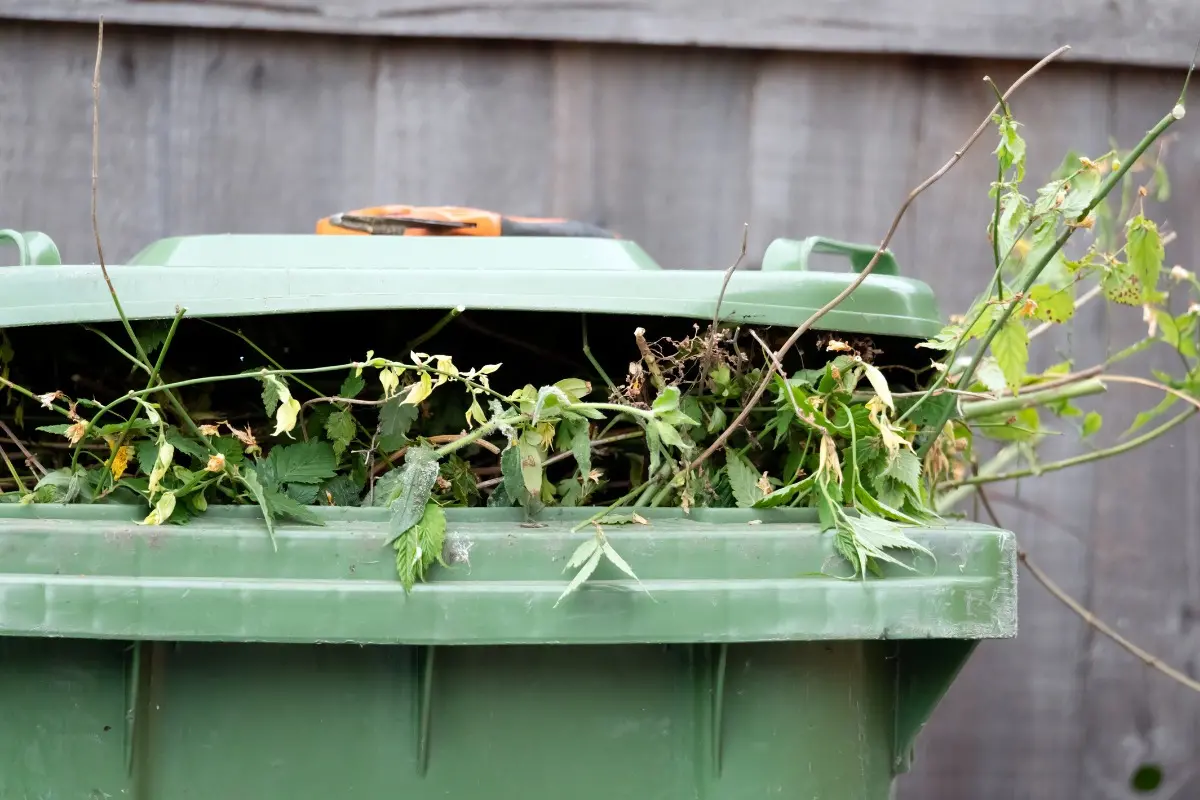 <p>MAKE A MULCH PLAN: Will you compost or dispose of the green waste on your property this Autumn? PHOTO: ASC.</p>\\n