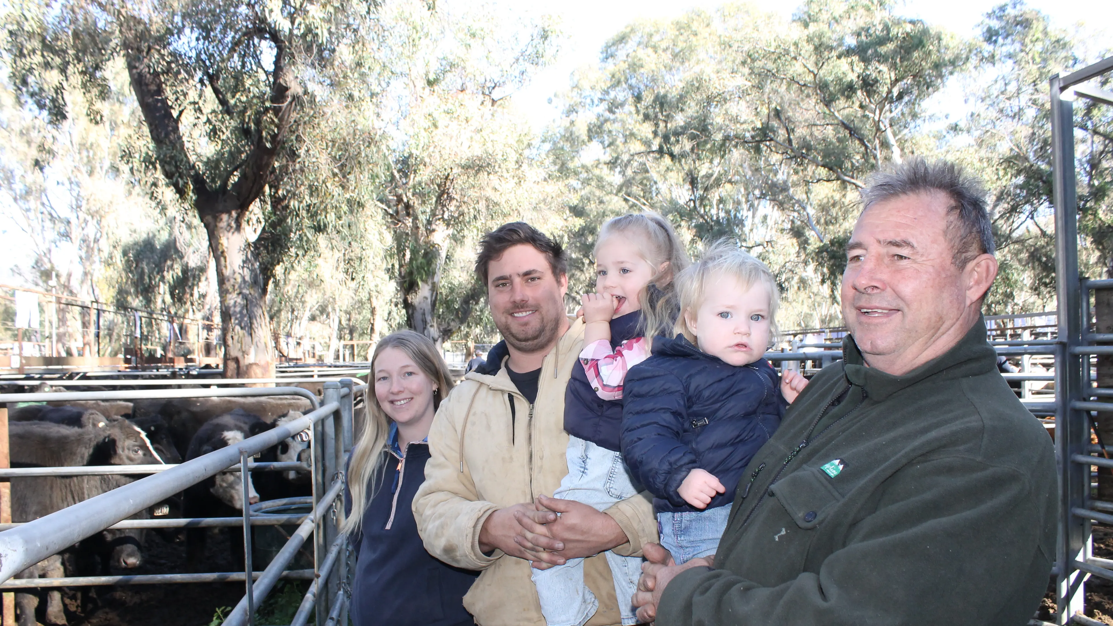 Solid cattle market, with more than $3.3m swapping hands