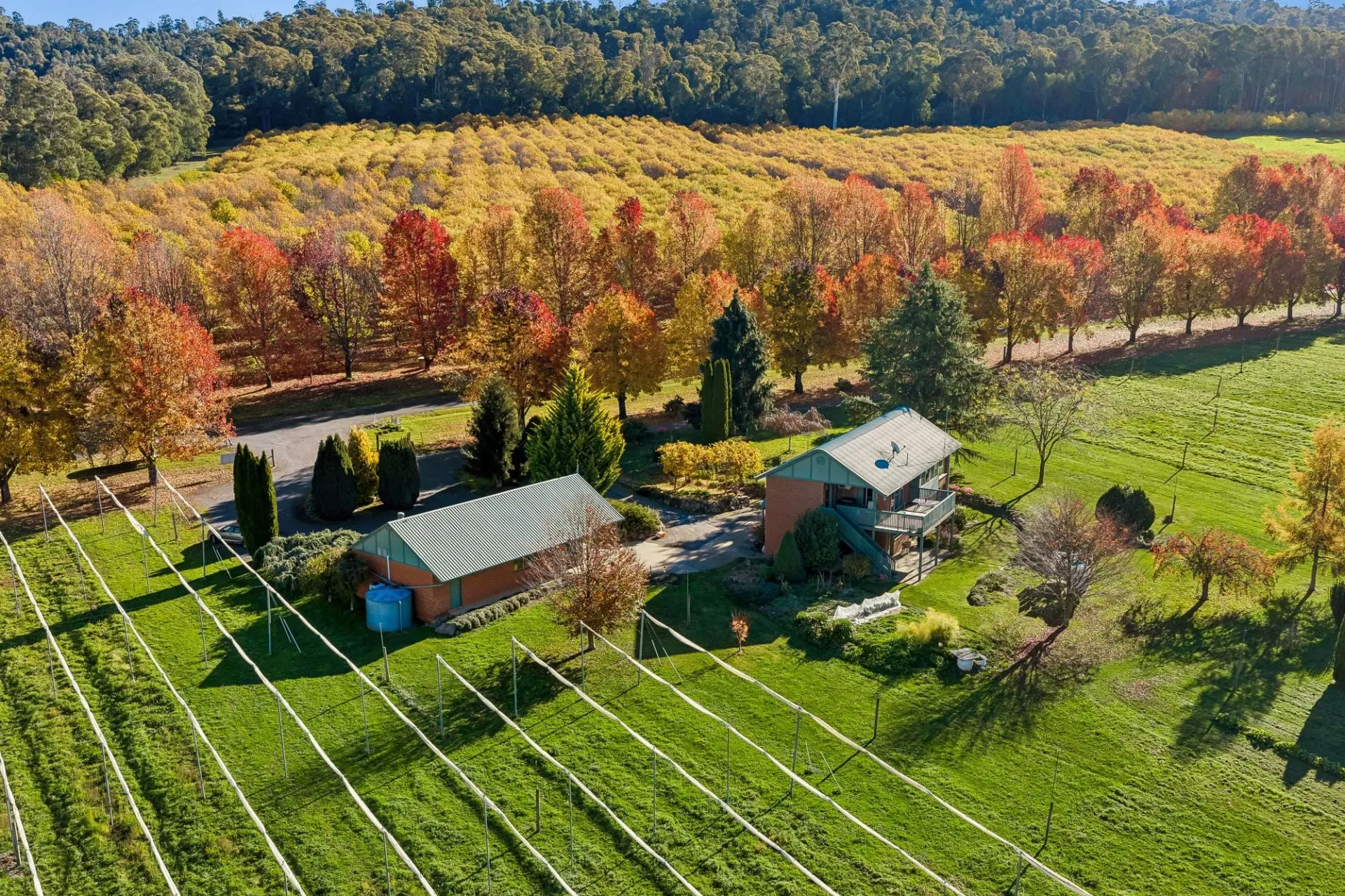 Spacious lifestyle living on 5.48 ha.