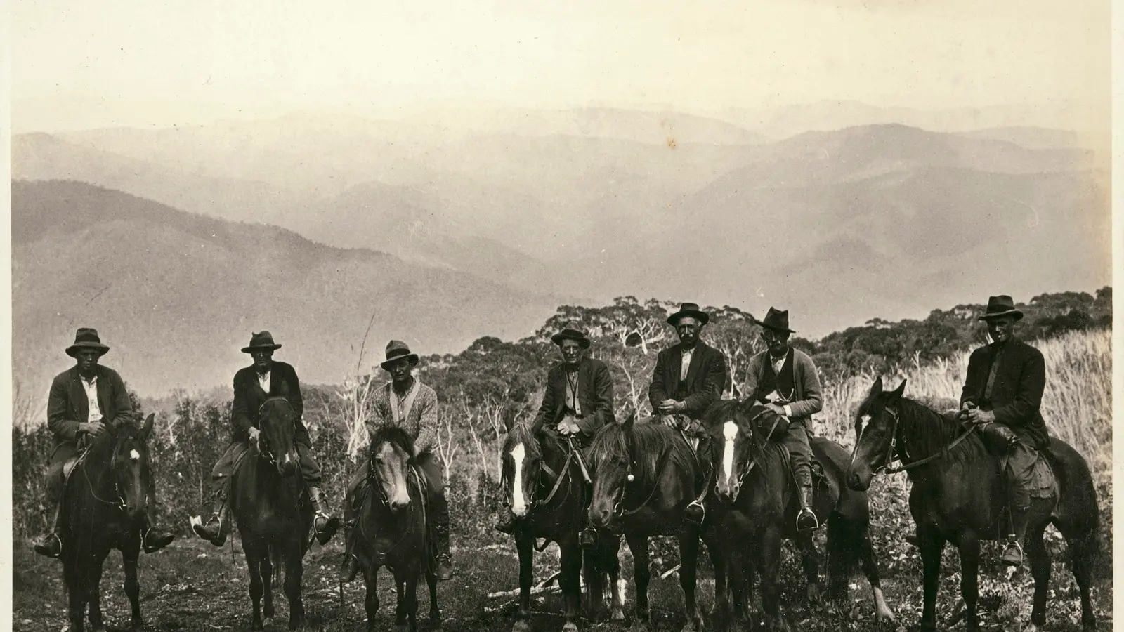 Mountain cattlemen key to State Library Victoria appeal