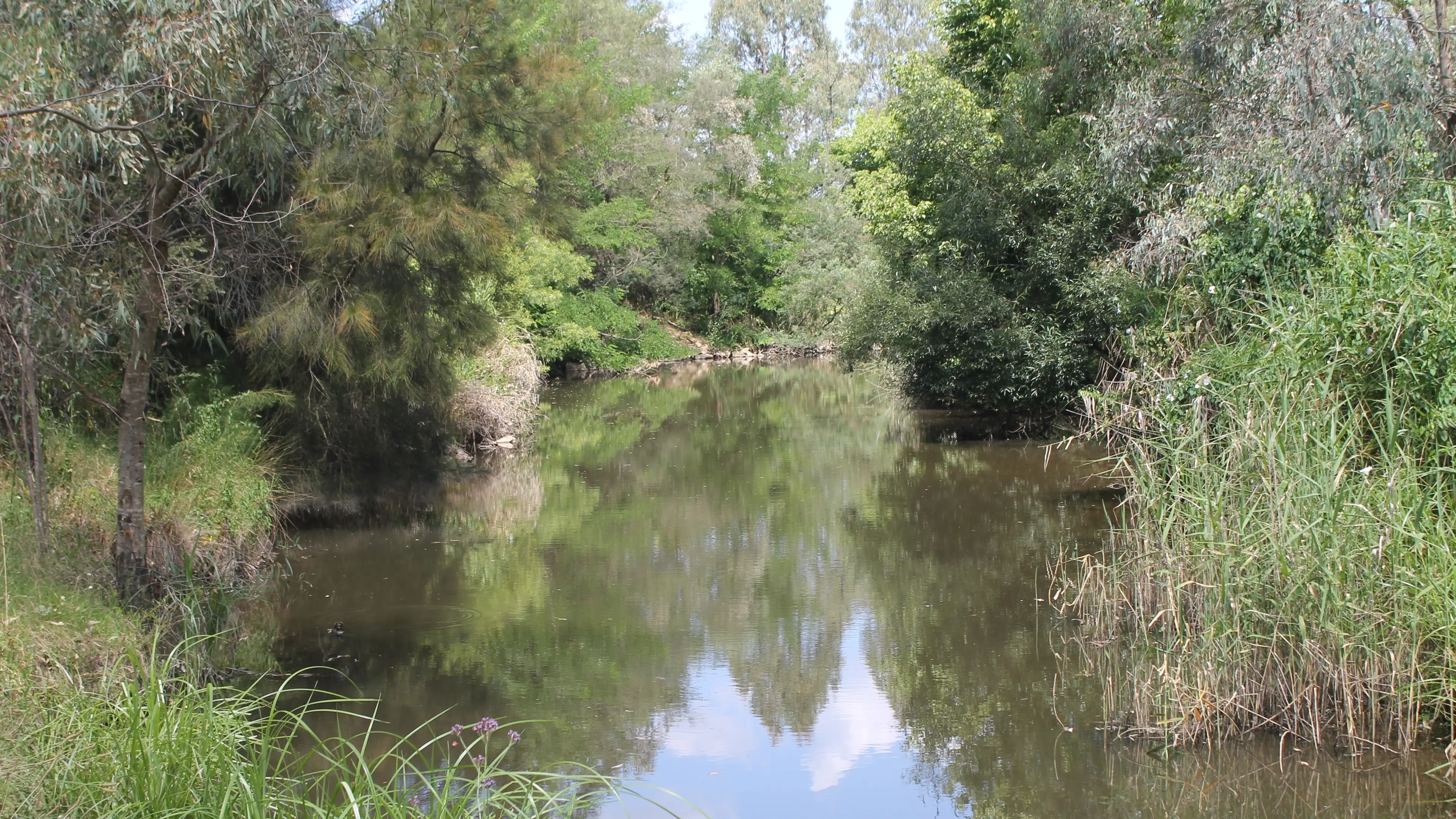 Updating flood controls into the Alpine Planning Scheme