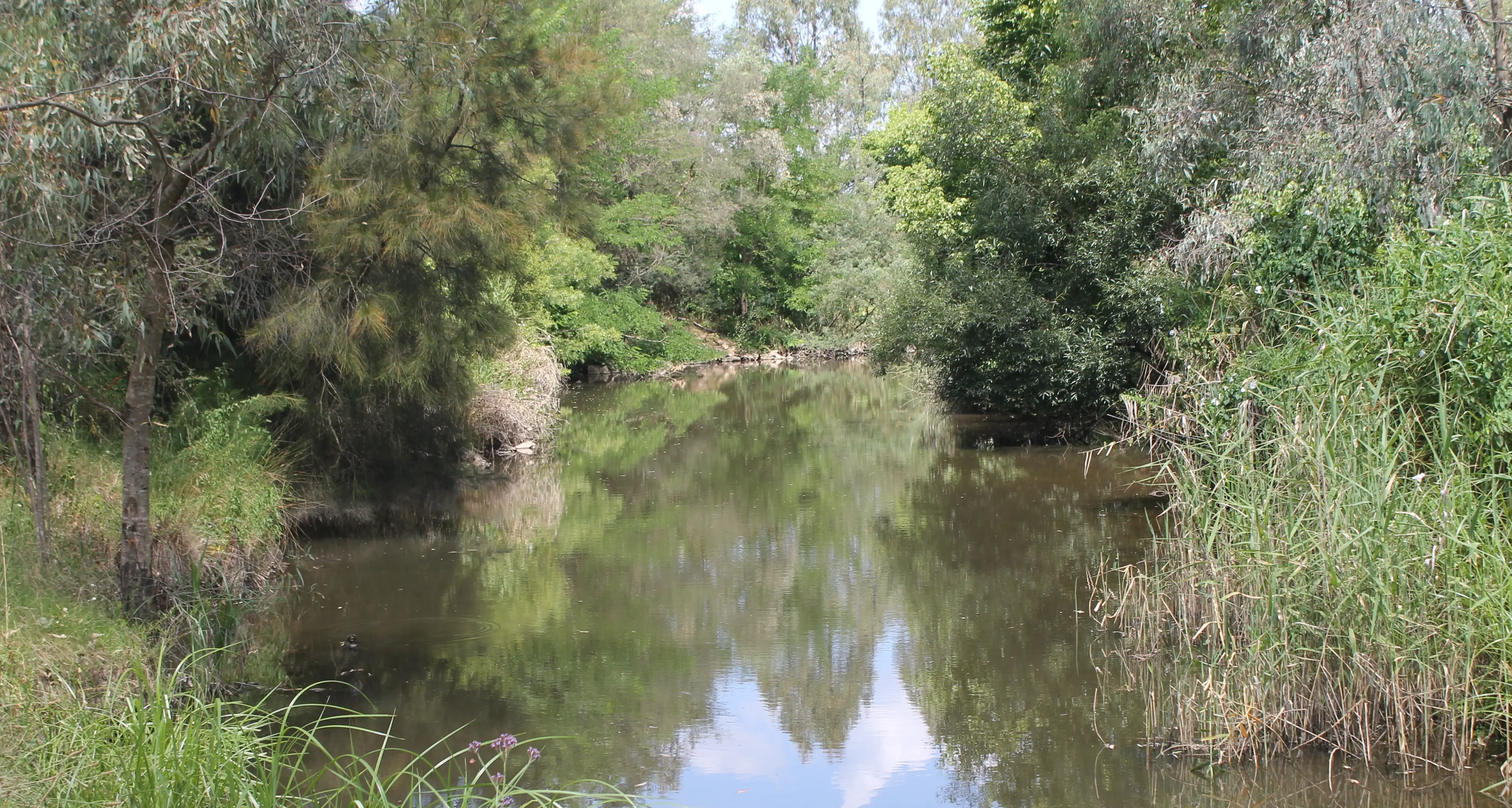 Updating flood controls into the Alpine Planning Scheme