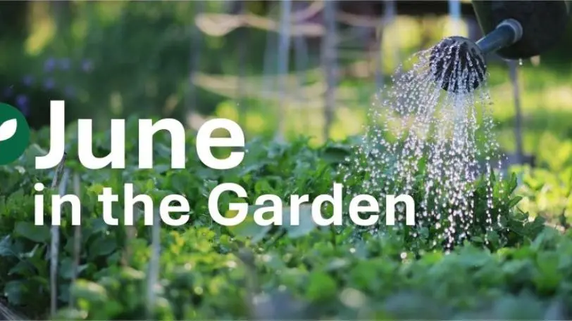 Green-thumbs to host guest speaker ahead of winter