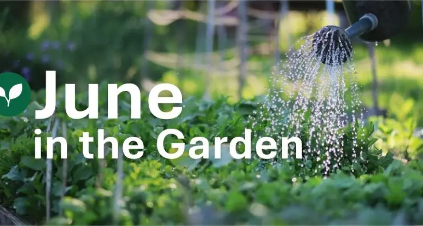 Green-thumbs to host guest speaker ahead of winter
