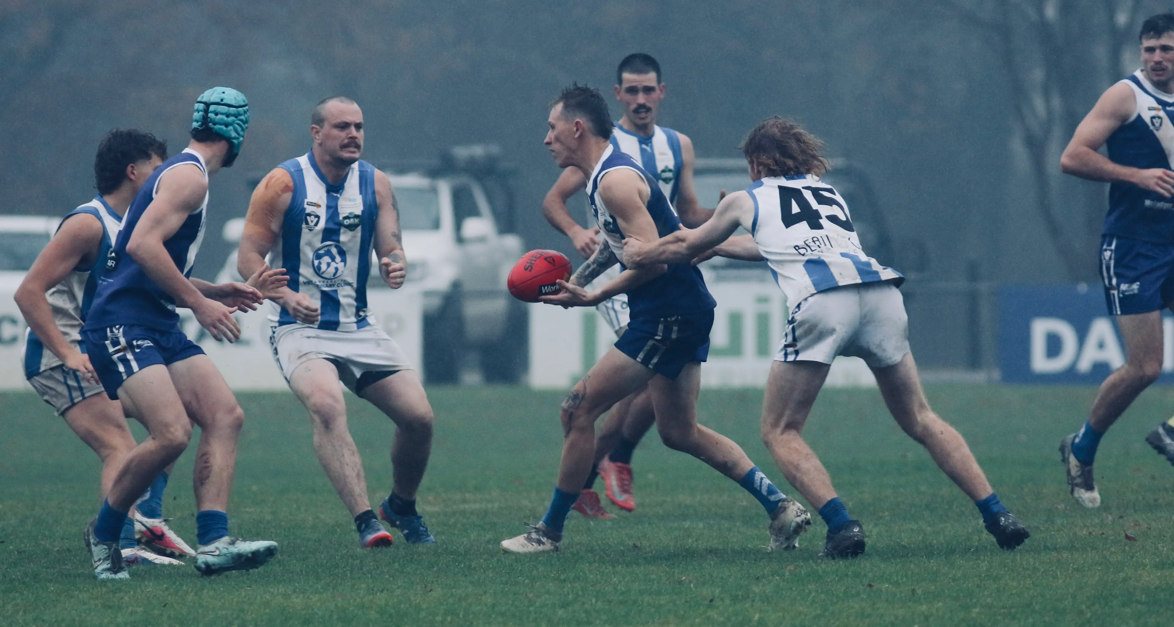 Bright bounce back against Roos
