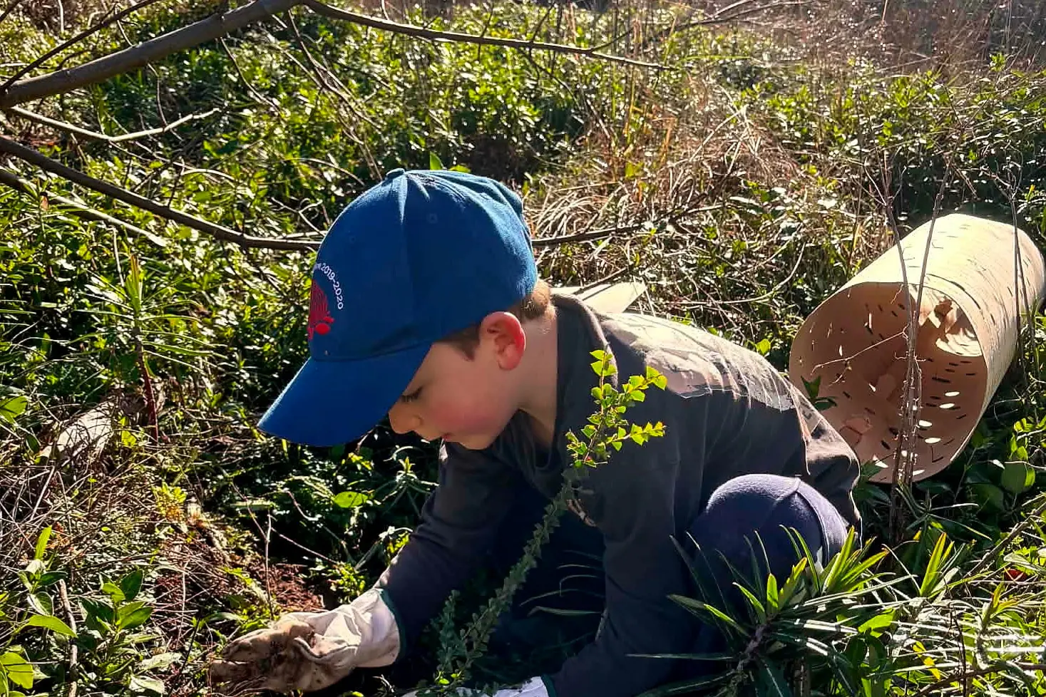 <p>GROWING GREEN THUMB: Martyn Paterson\\'s grandson Myles planted another Ovens Valley Wattle during the working bee. PHOTOS: UOVLG.</p>\\n