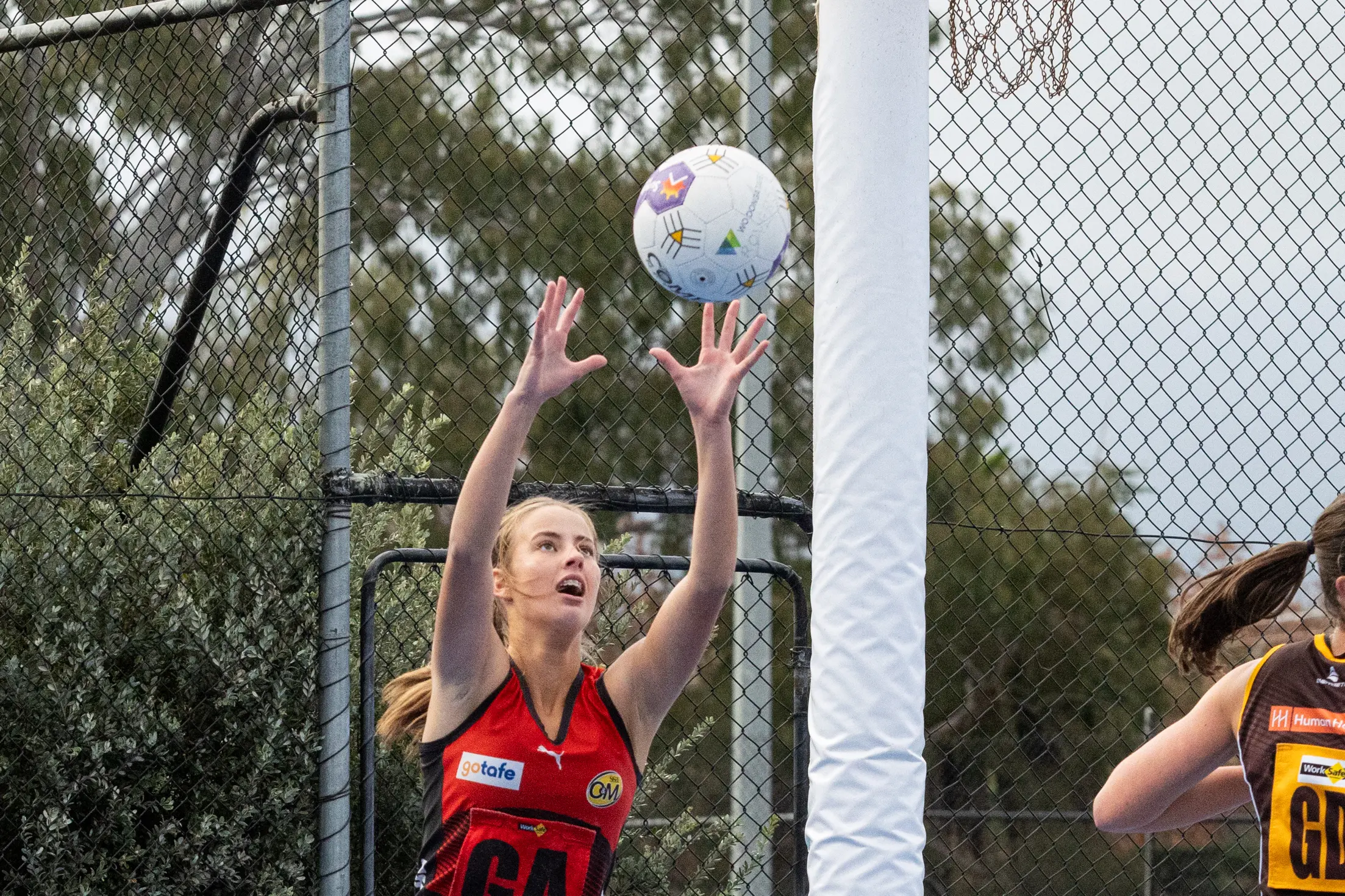 <p>FUTURE IS HERE: Zahra Hazeldine was one of several young Saints who impressed in their drought-breaking win on Saturday. PHOTO: Marc Bongers</p>\\n