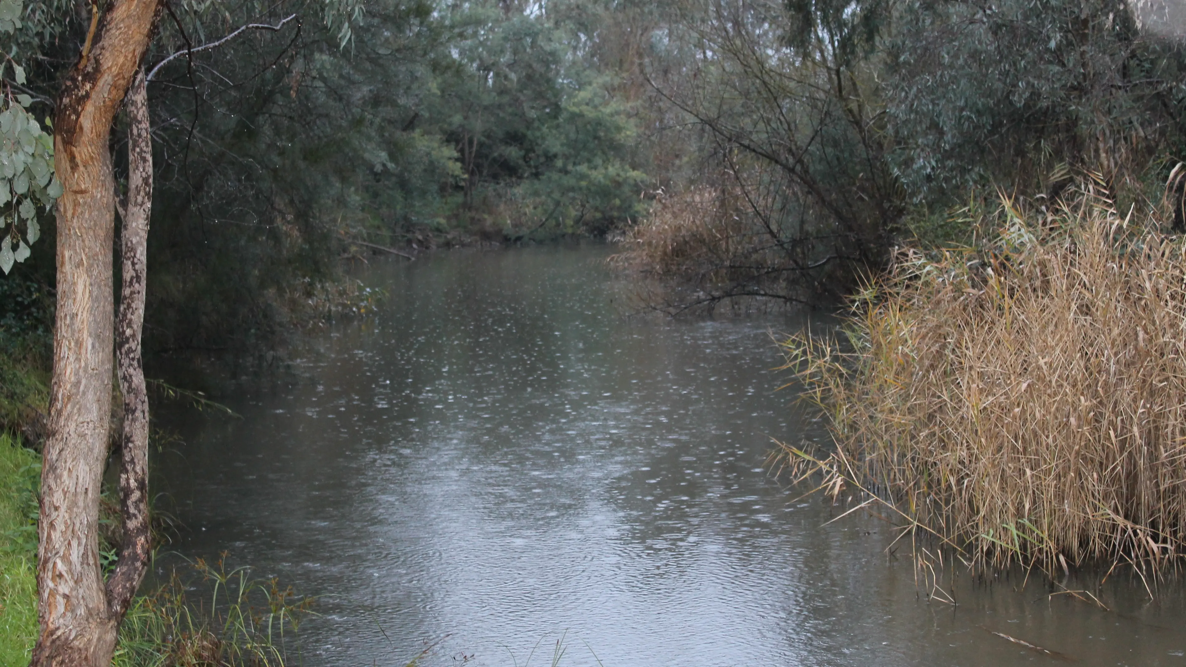 Minor to moderate flooding expected