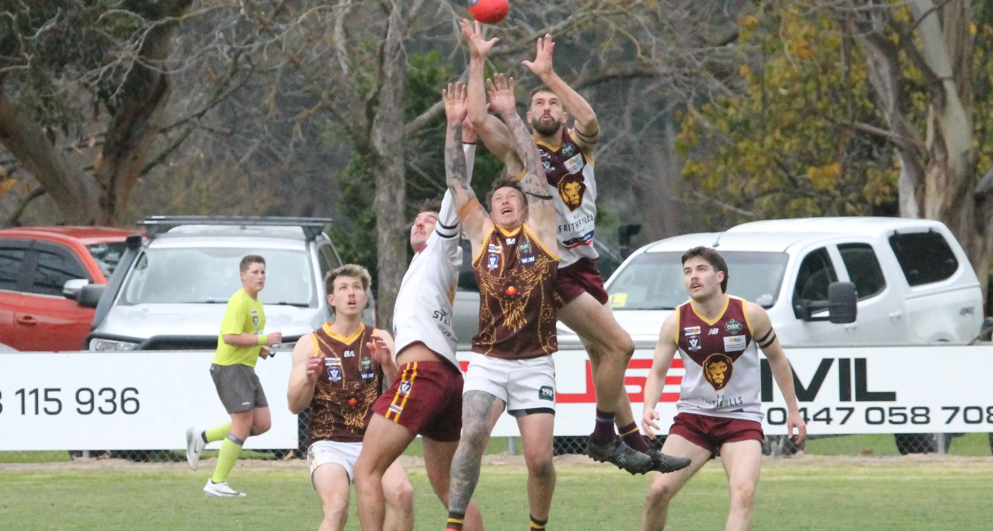 Lions roar to victory over physical Hawks