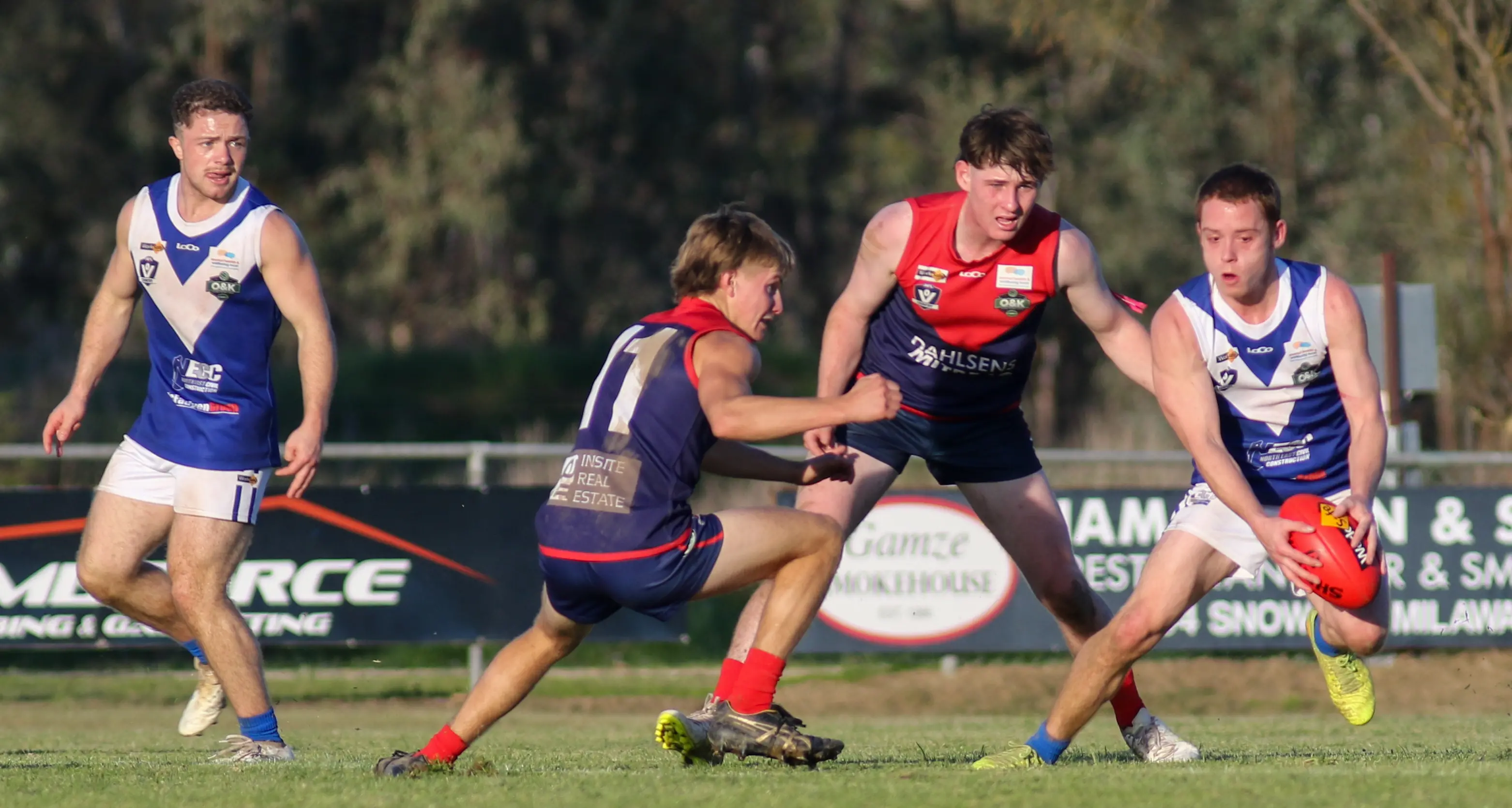 Six wins on the bounce for Bright