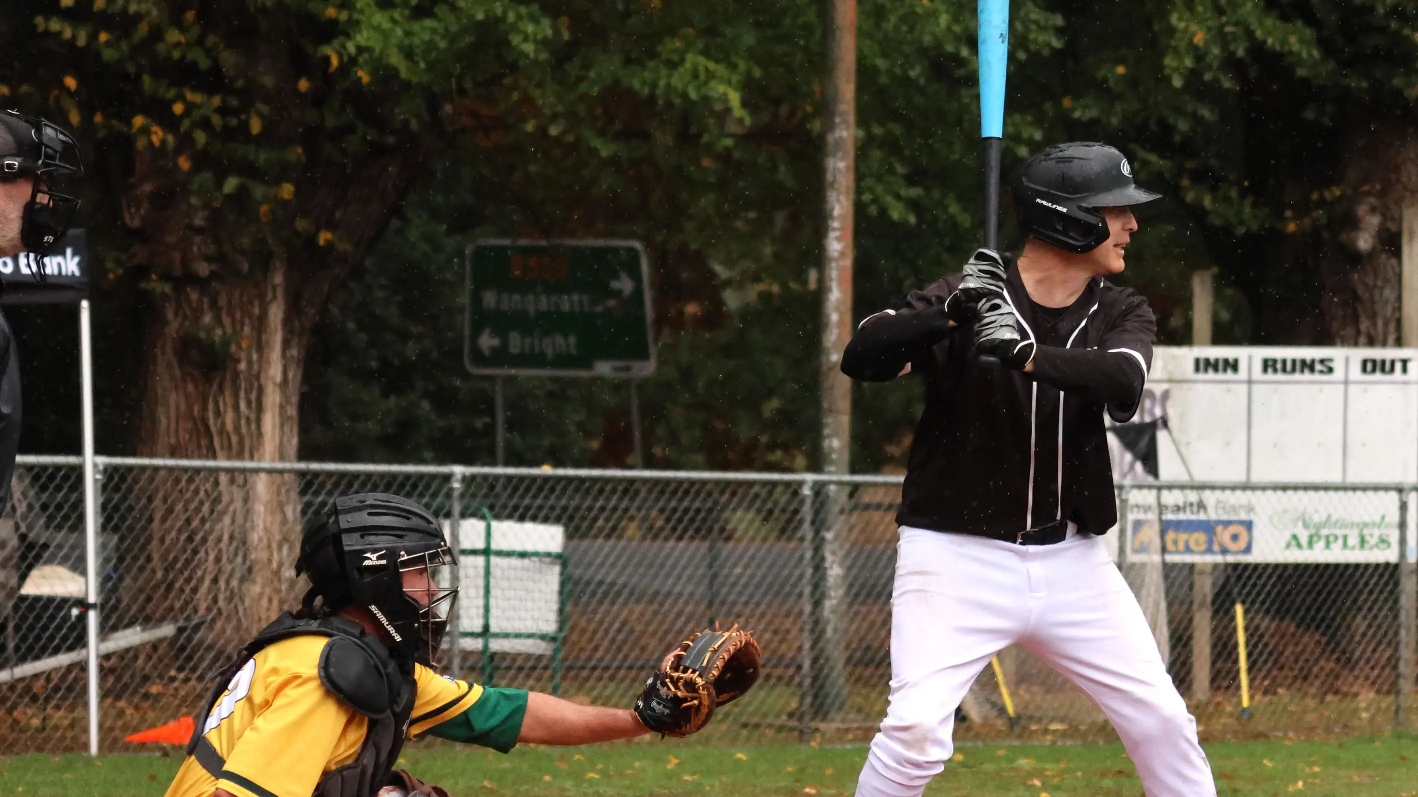 Monster innings gifts B grade Panthers the win