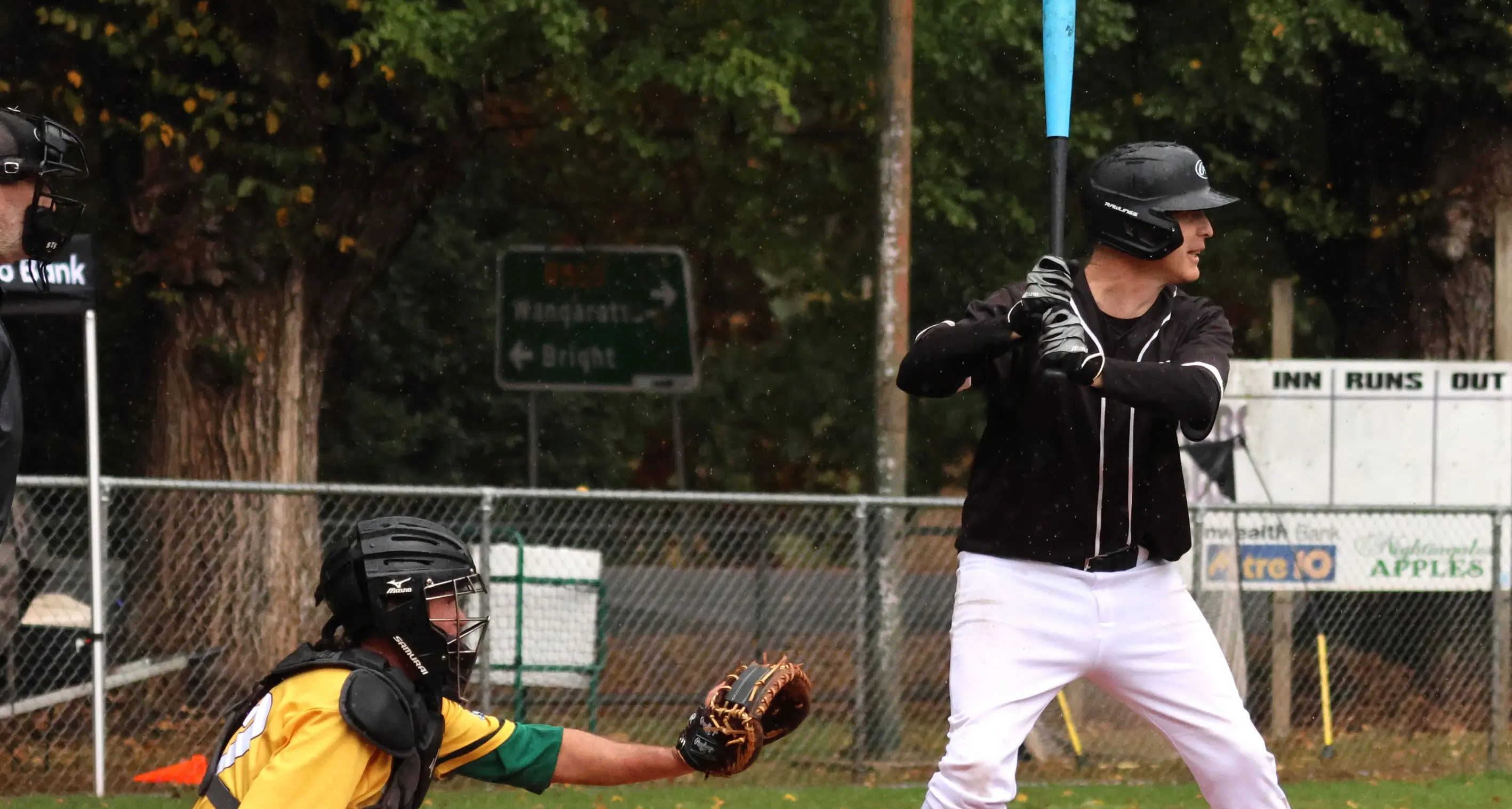 Monster innings gifts B grade Panthers the win