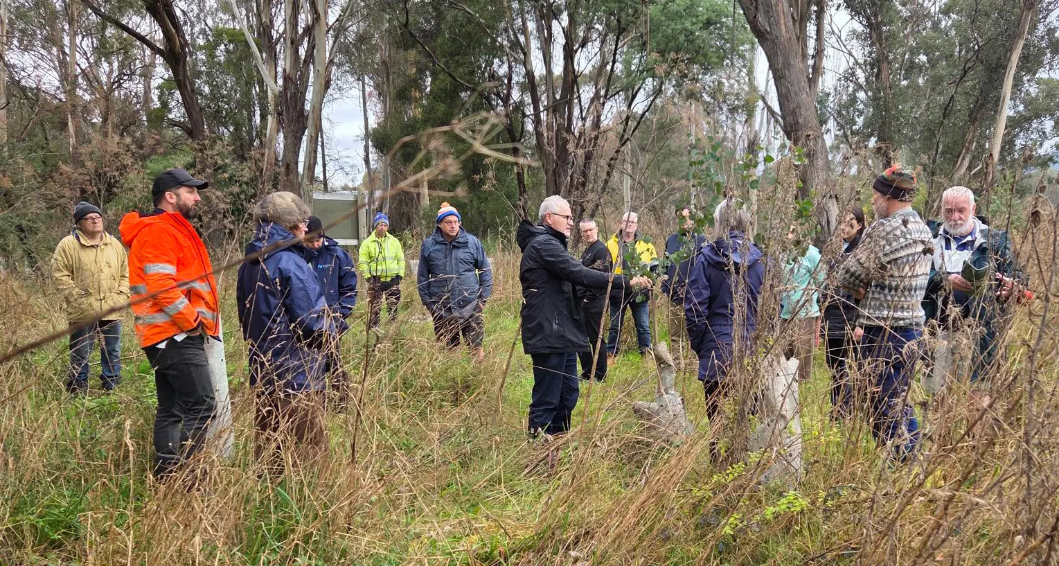 Growing interest in Porepunkah tree planting success