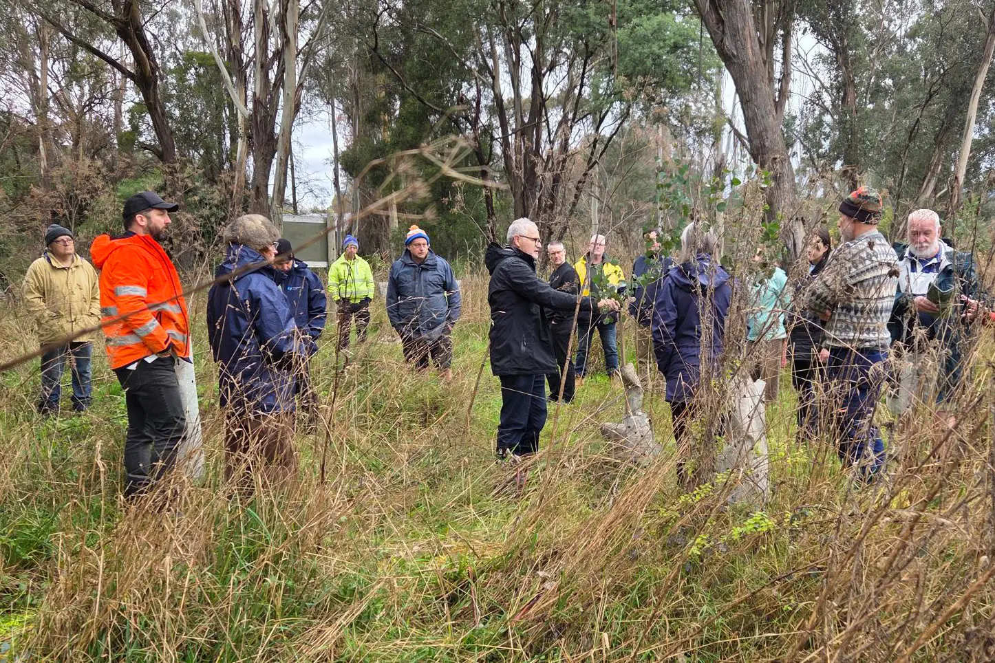 <p>GROWTH: Representatives from organisations throughout the Ovens Valley toured Upper Ovens Valley Landcare Group\\'s riparian project site on One Mile Creek at Porepunkah last week.</p>\\n