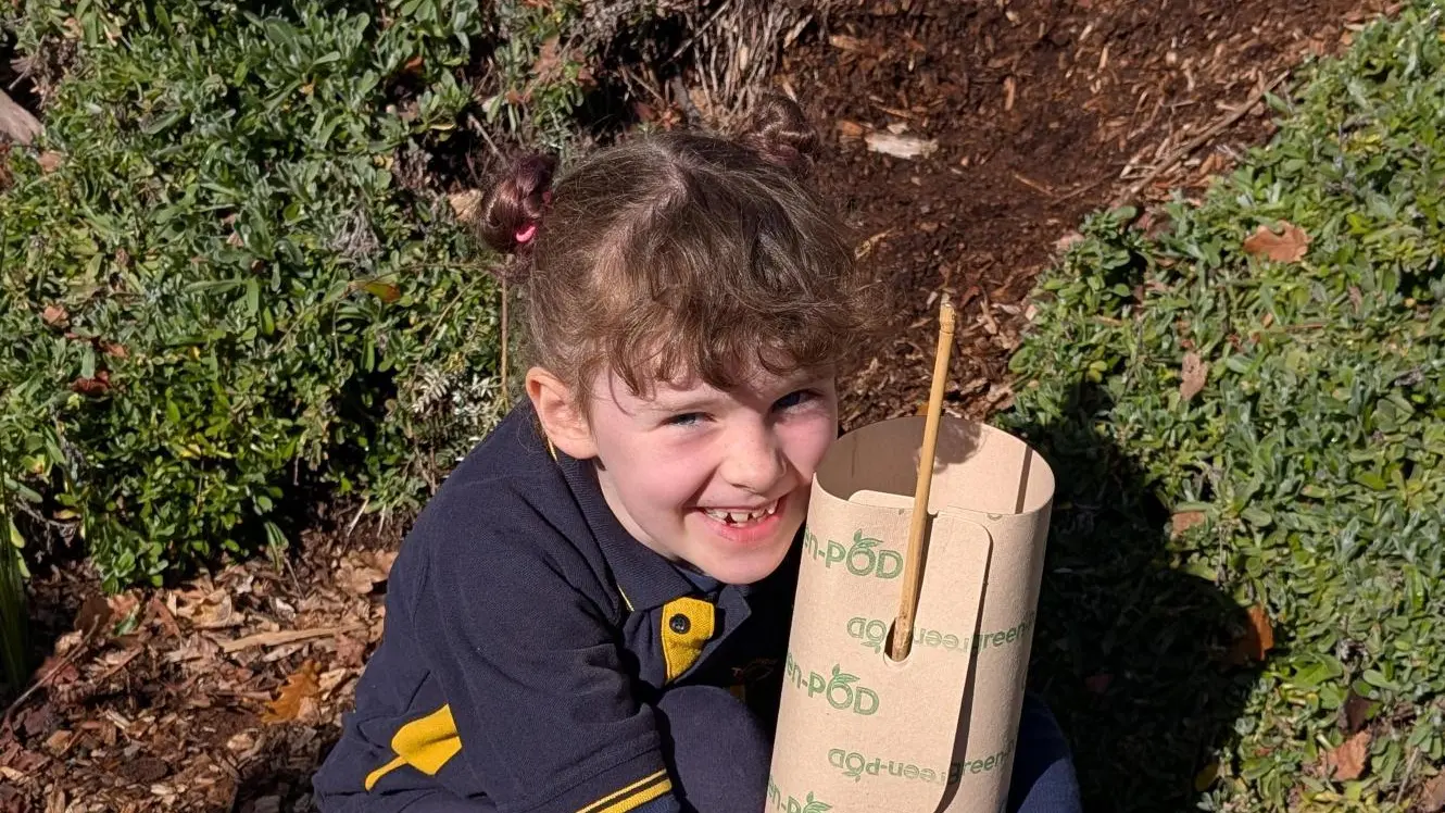 Tree-planting excursions see students secure seedlings in soil