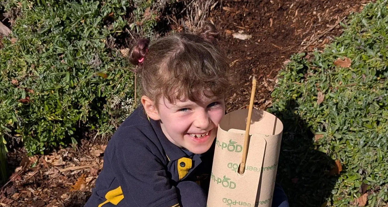 Tree-planting excursions see students secure seedlings in soil