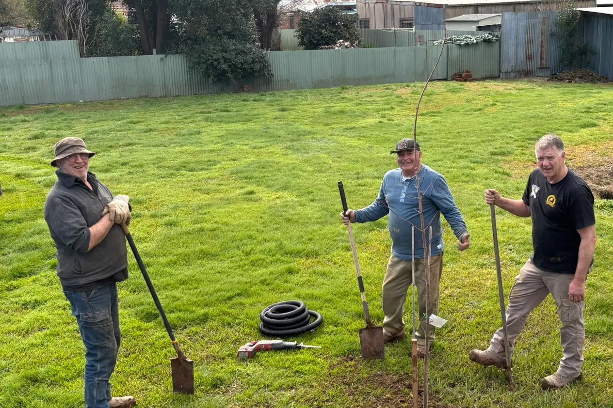 <p>DIGGING IN: Myrtleford Lions Club members (from left) George Peter, Peter Traini and Paul Tanner helped plant 11 Canadian Maples along the Murray to Mountains Rail Trail on the eastern approach to Myrtleford. </p>\\n