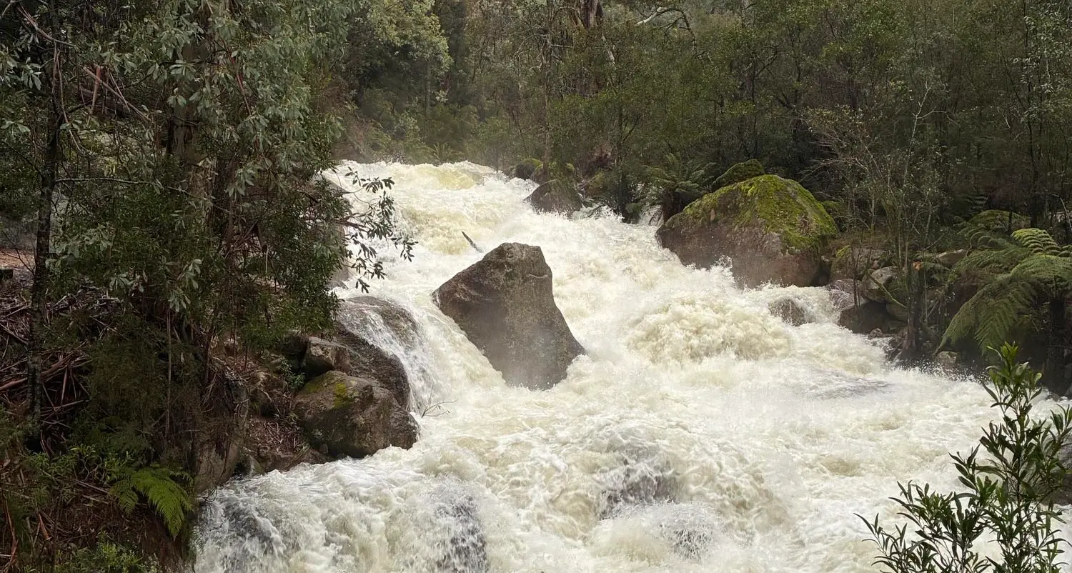 Sunday deluge soaks Alpine Shire, triggers some flood warnings