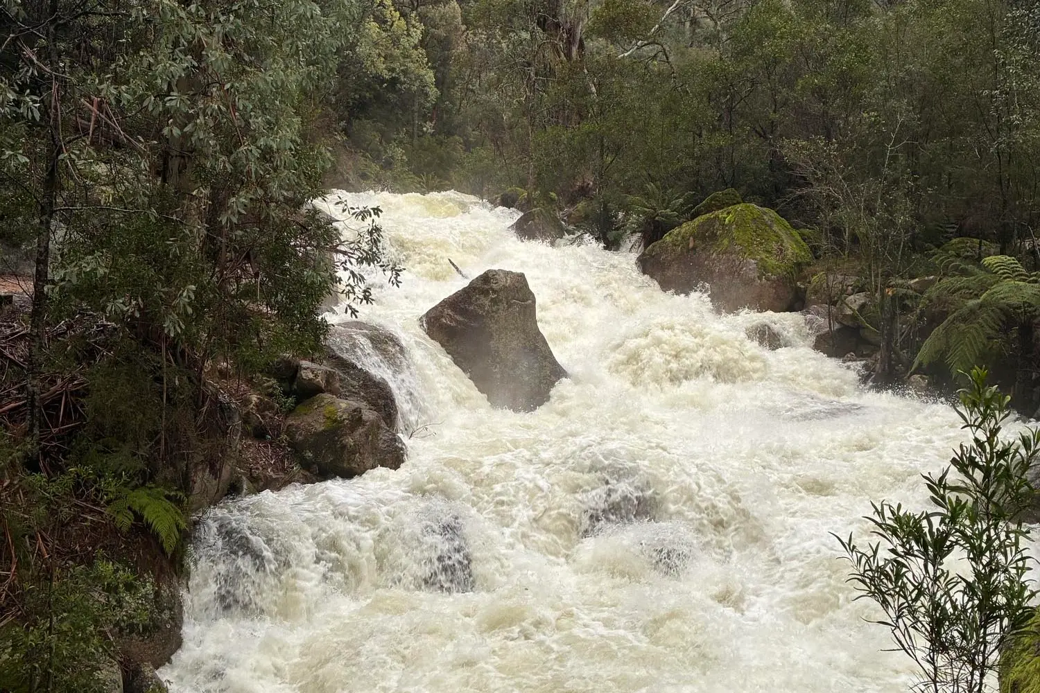 Sunday deluge soaks Alpine Shire, triggers some flood warnings