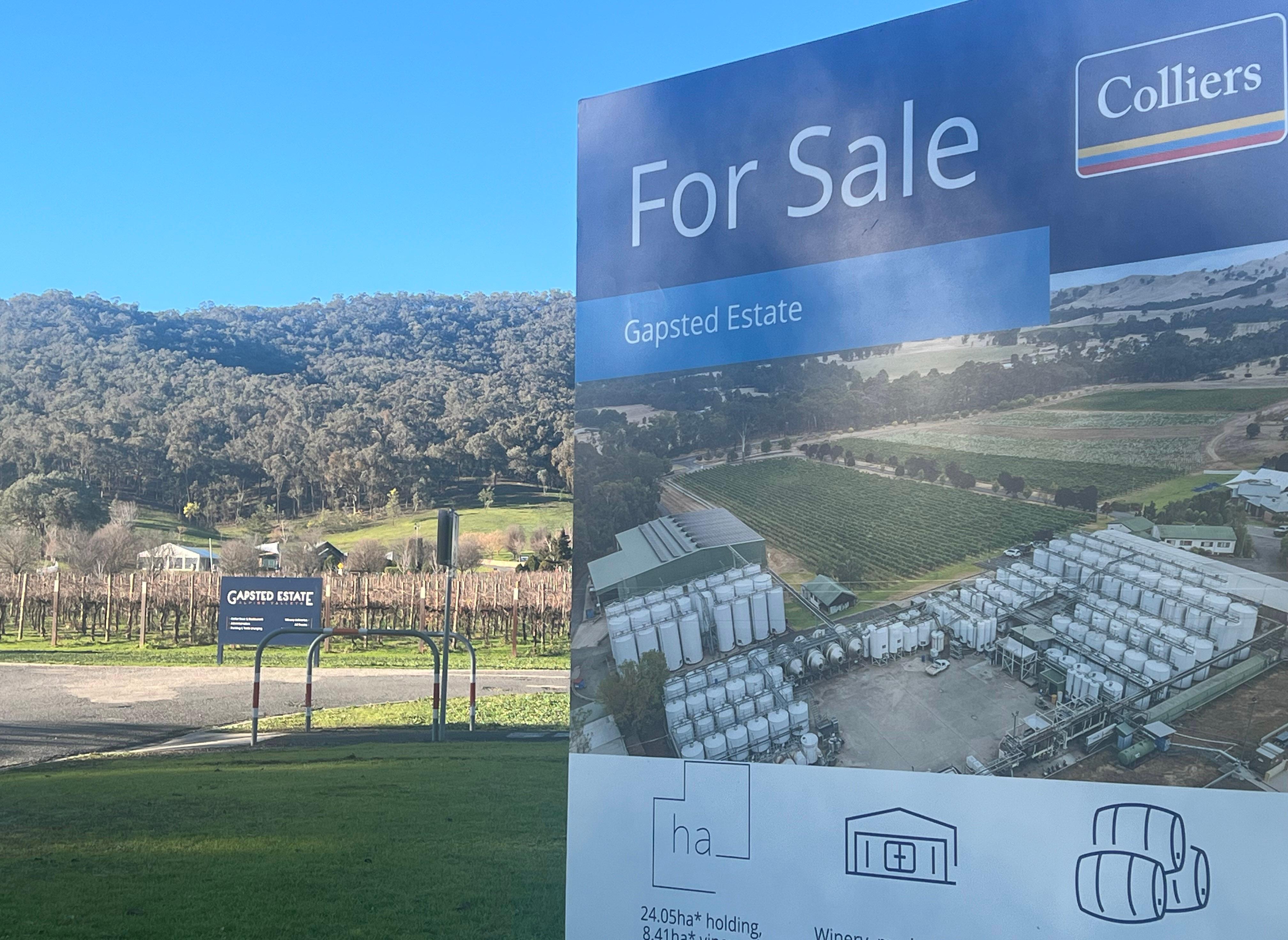 Winery future hope