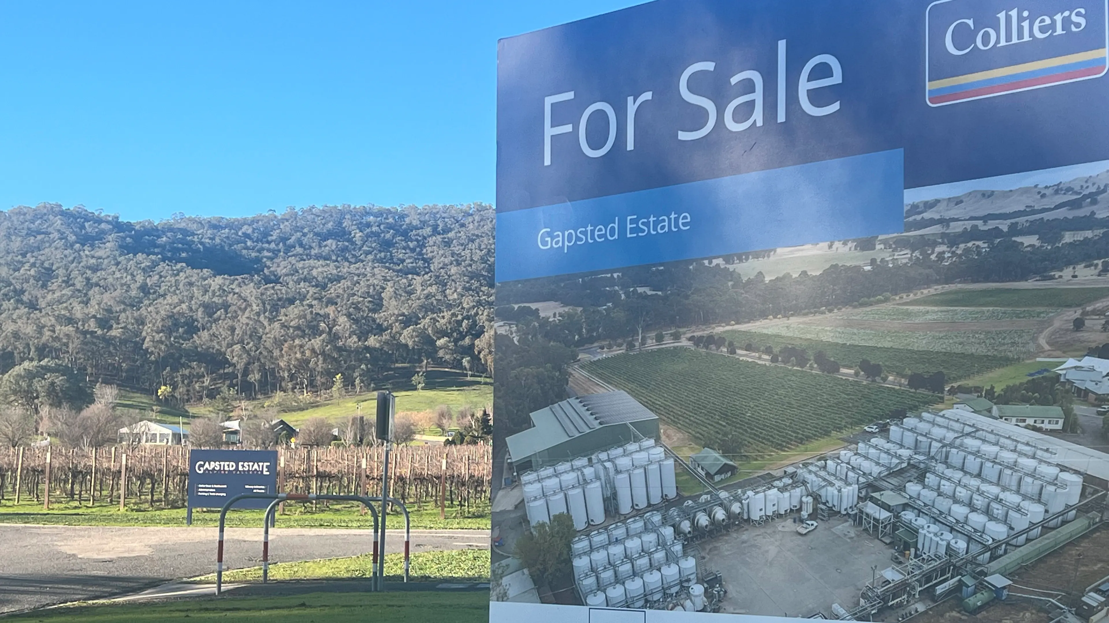 Winery future hope