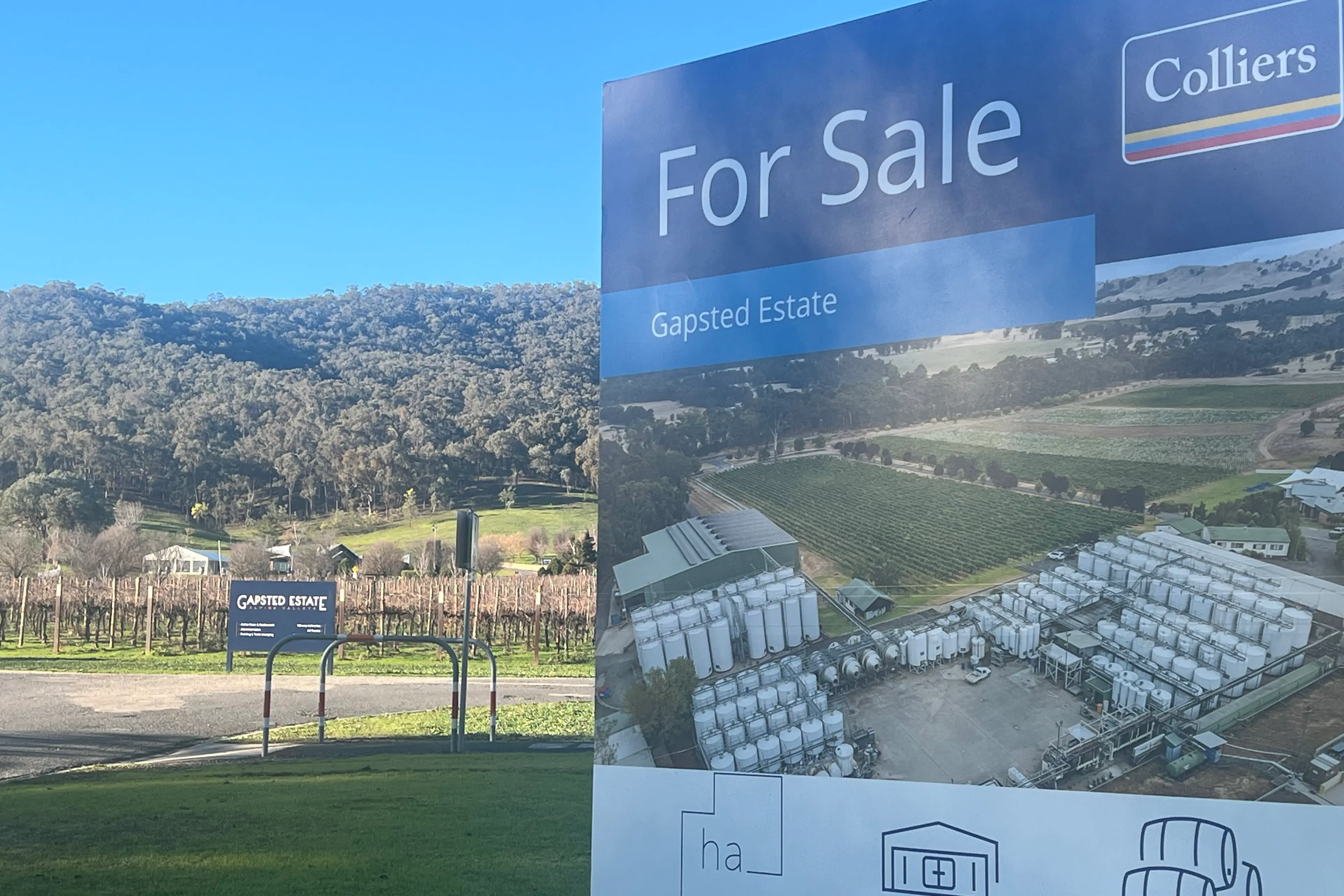 Winery future hope