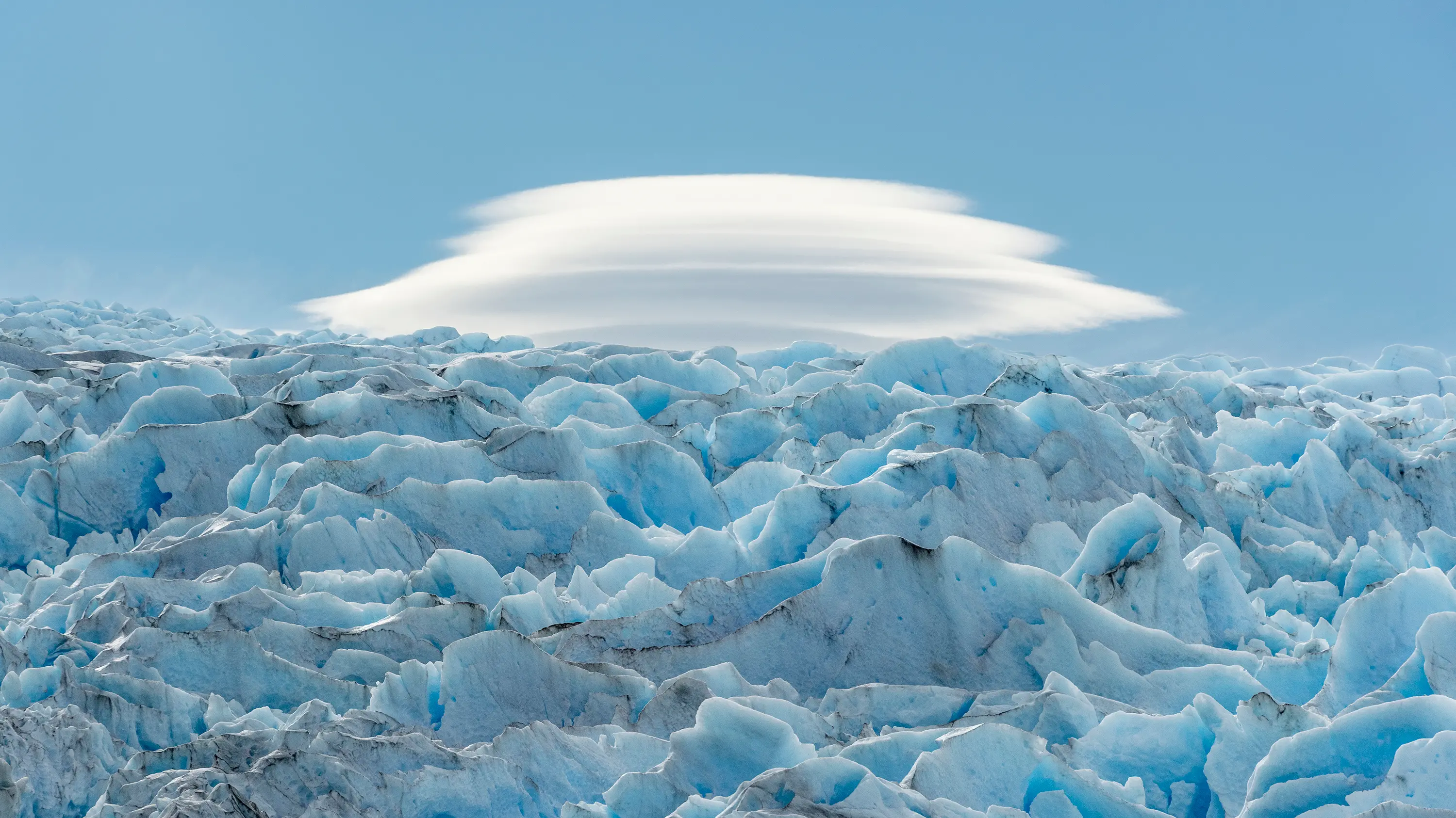 Bright photographers achieve peak peer awards in New Zealand
