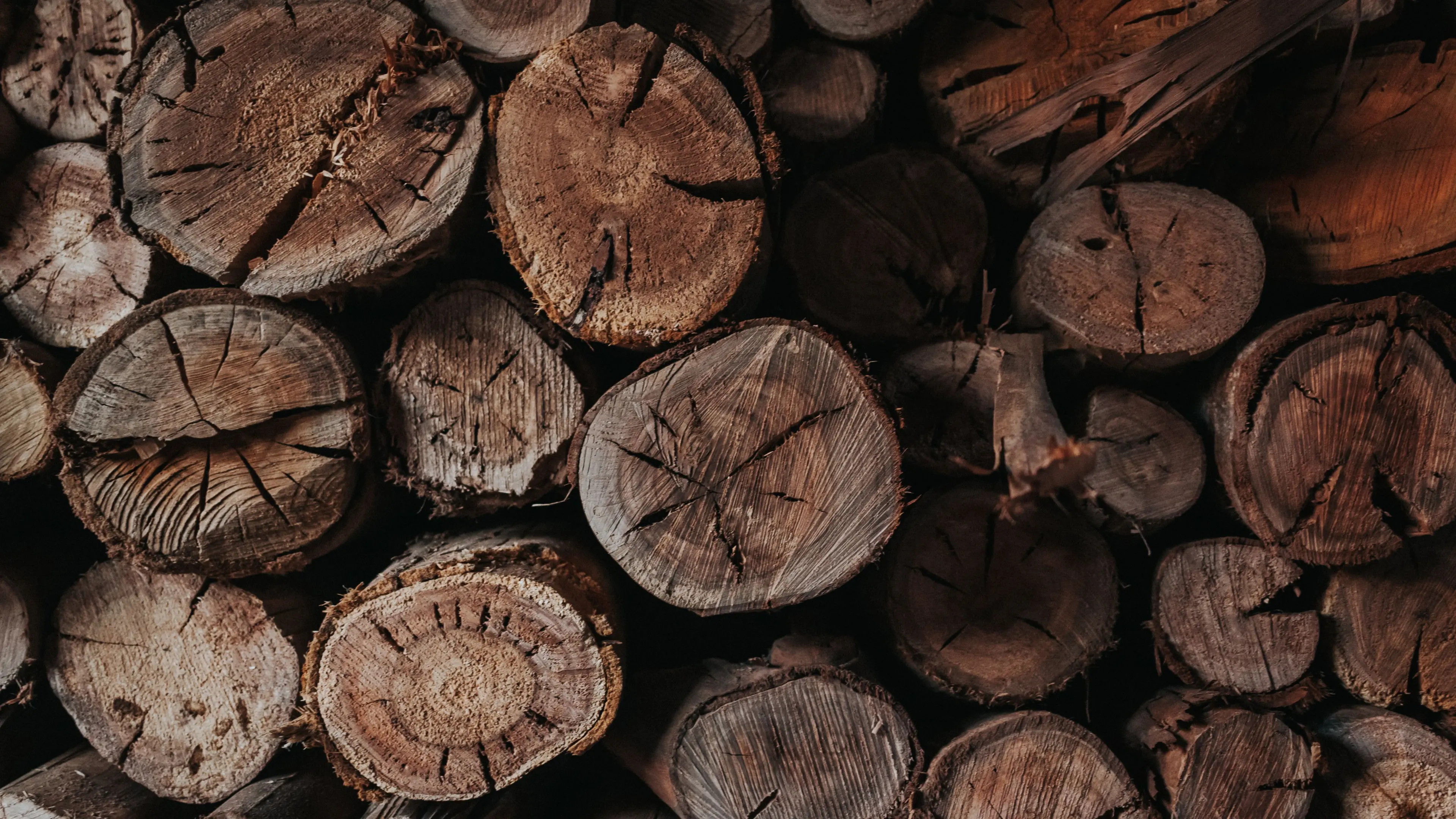 Spring firewood collection season opens 1 September
