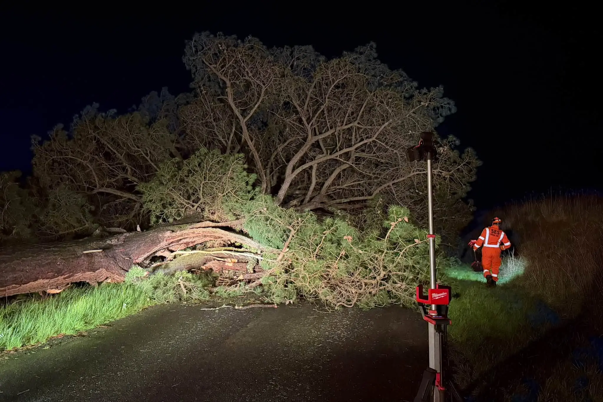 Heavy rain sees some flash flooding, tree blocking road