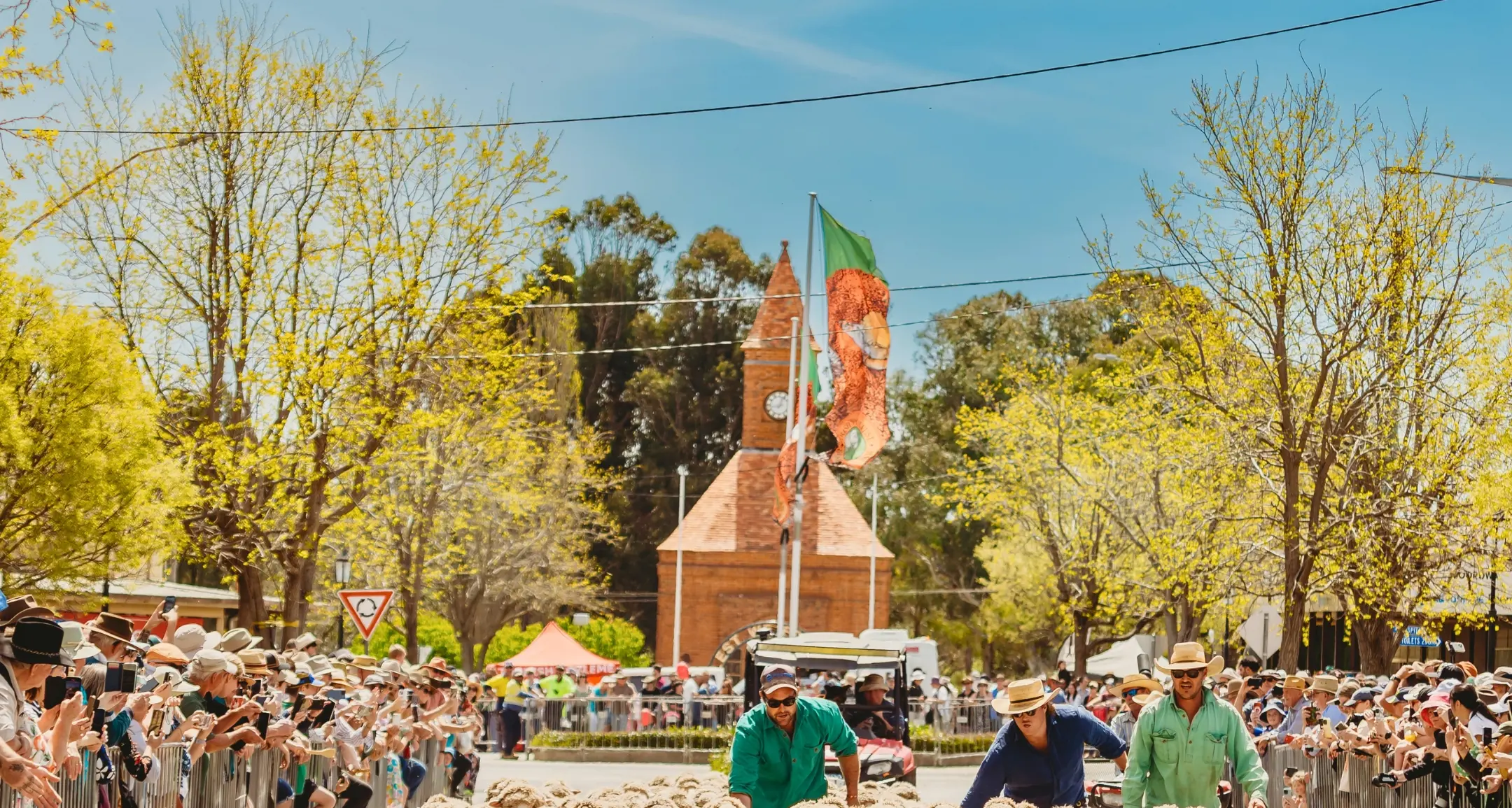 What's On Around the Hilltops
