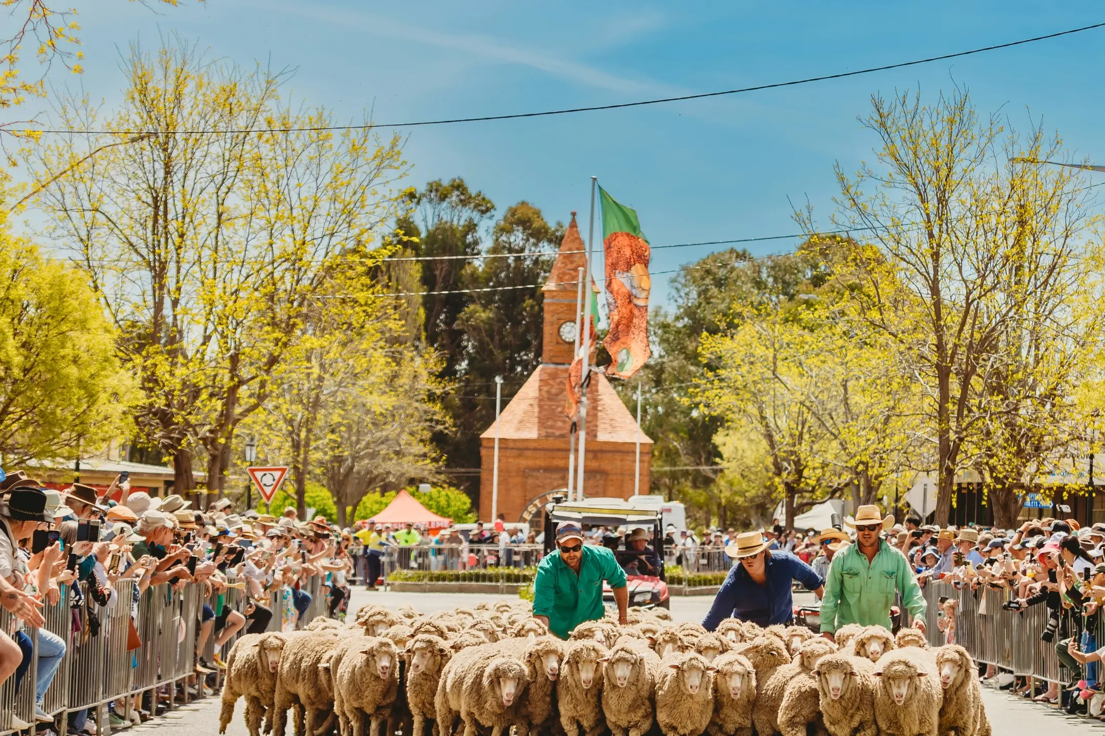 <p>Boorowa Irish Woolfest</p>\\n