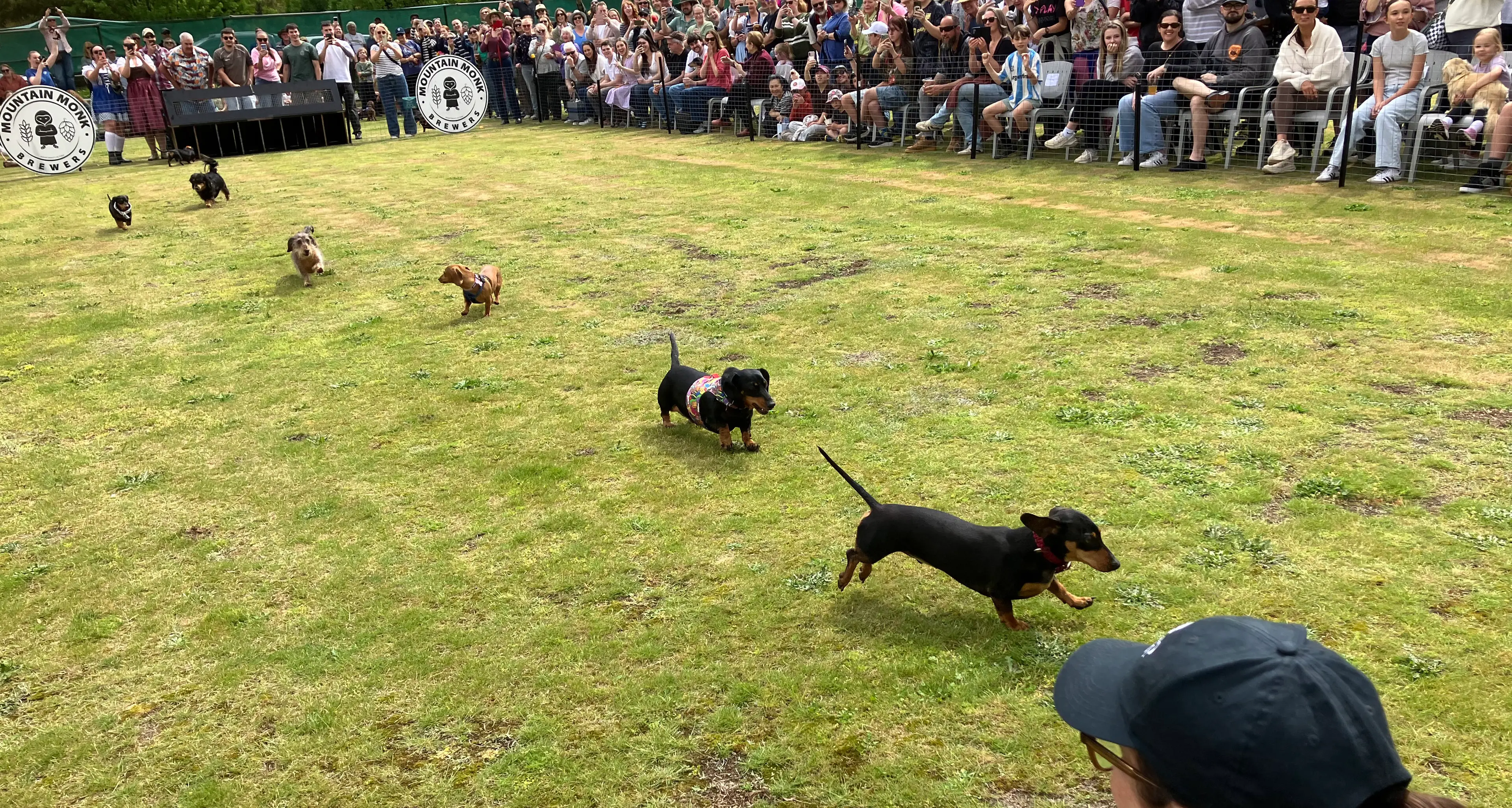 Record crowd for Mt Beauty Oktoberfest