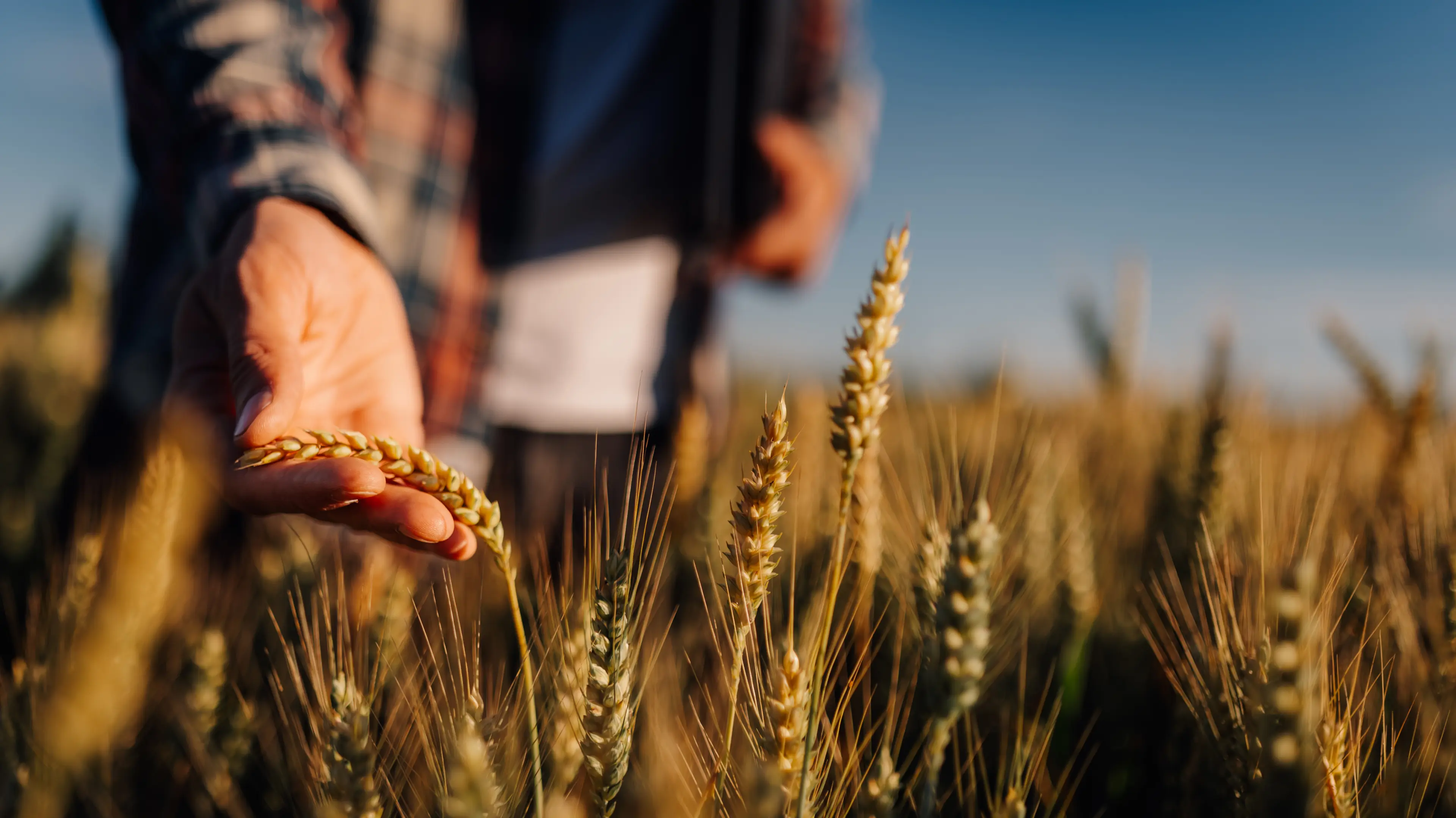Drought resilience funding for Ovens Murray