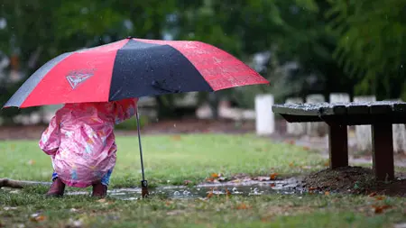 September rainfall up on last year