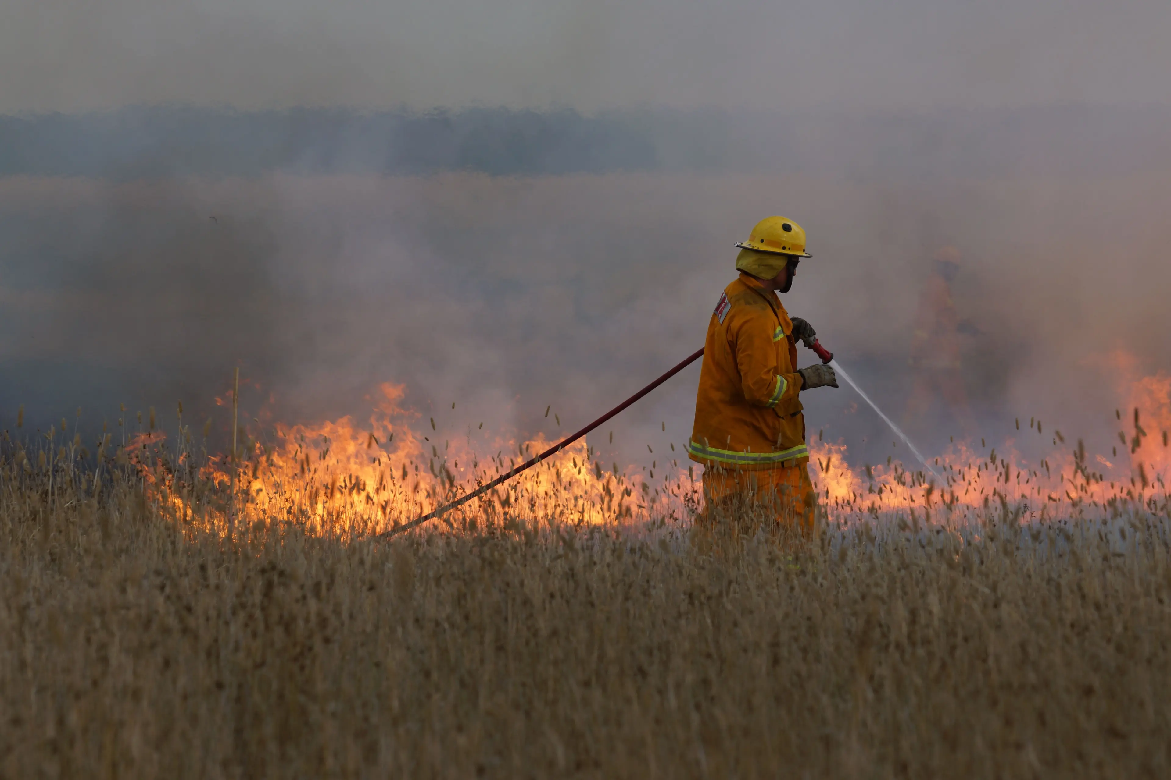 <p>MORE BURNS: The Coalition has committed to doubling prescribed burns if elected to government in November.</p>\\n