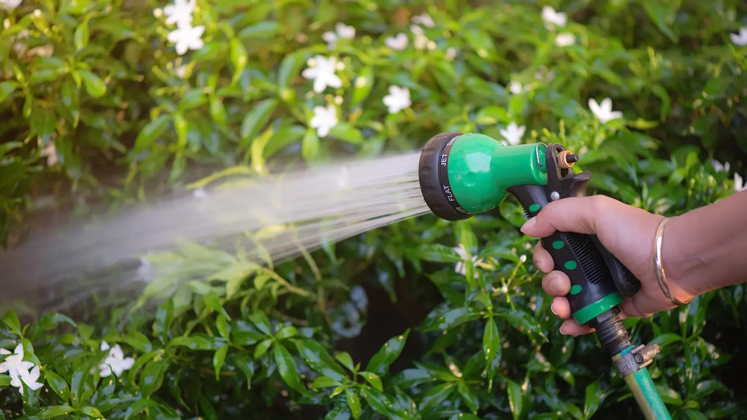 Positive water outlook, but every litre still counts