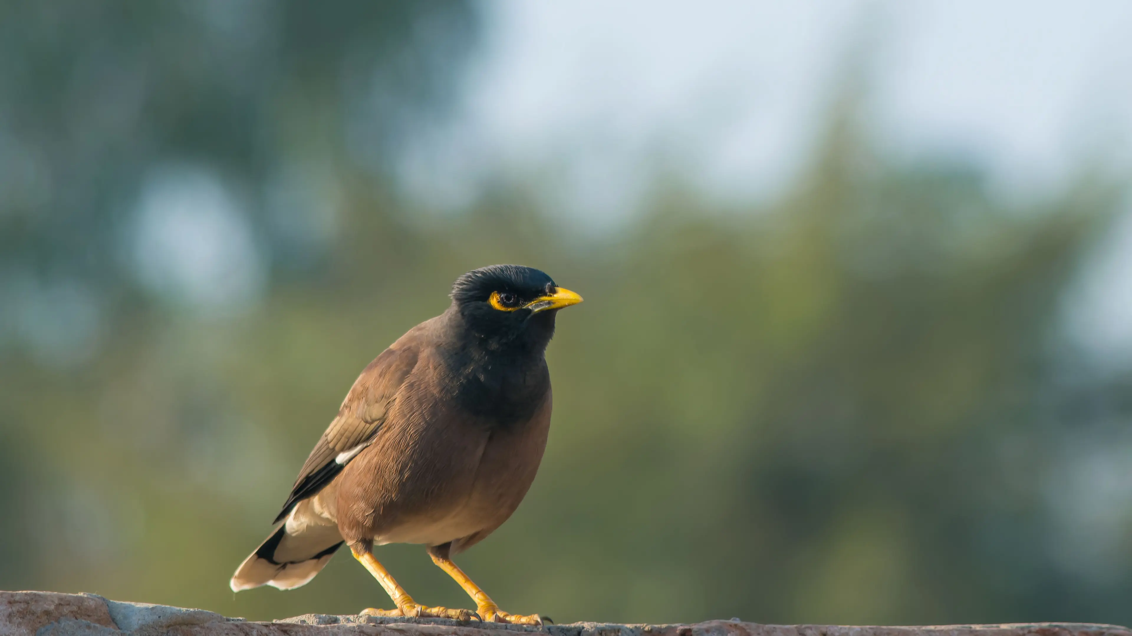 Special guest speakers set to bolster sustainability efforts in the shire