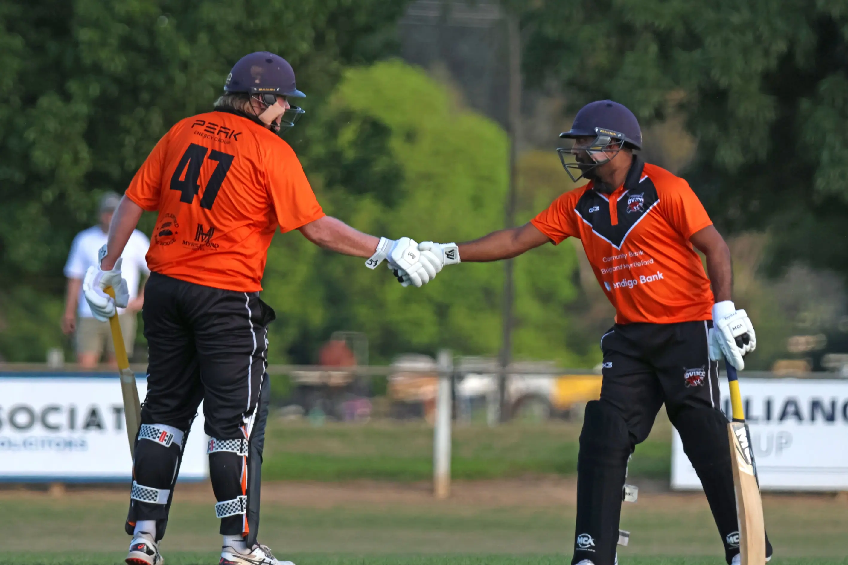 <p>WELL BATTED: Riley Forde and Geeth Alwis congratulate each other after recording unbeaten half centuries in Ovens Valley\\'s win over Benalla. PHOTOS: Janet Watt</p>\\n